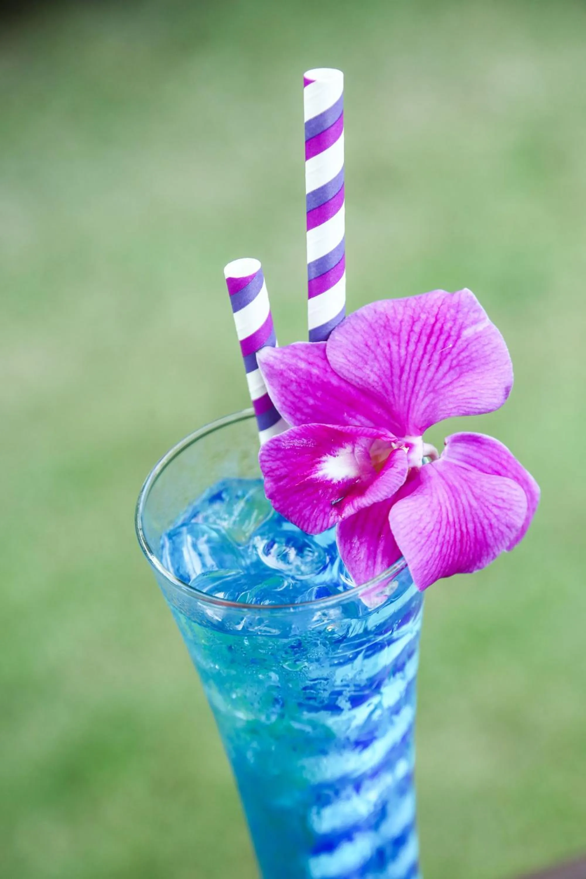 Food in Naiharn Beach Resort - SHA Plus Extra