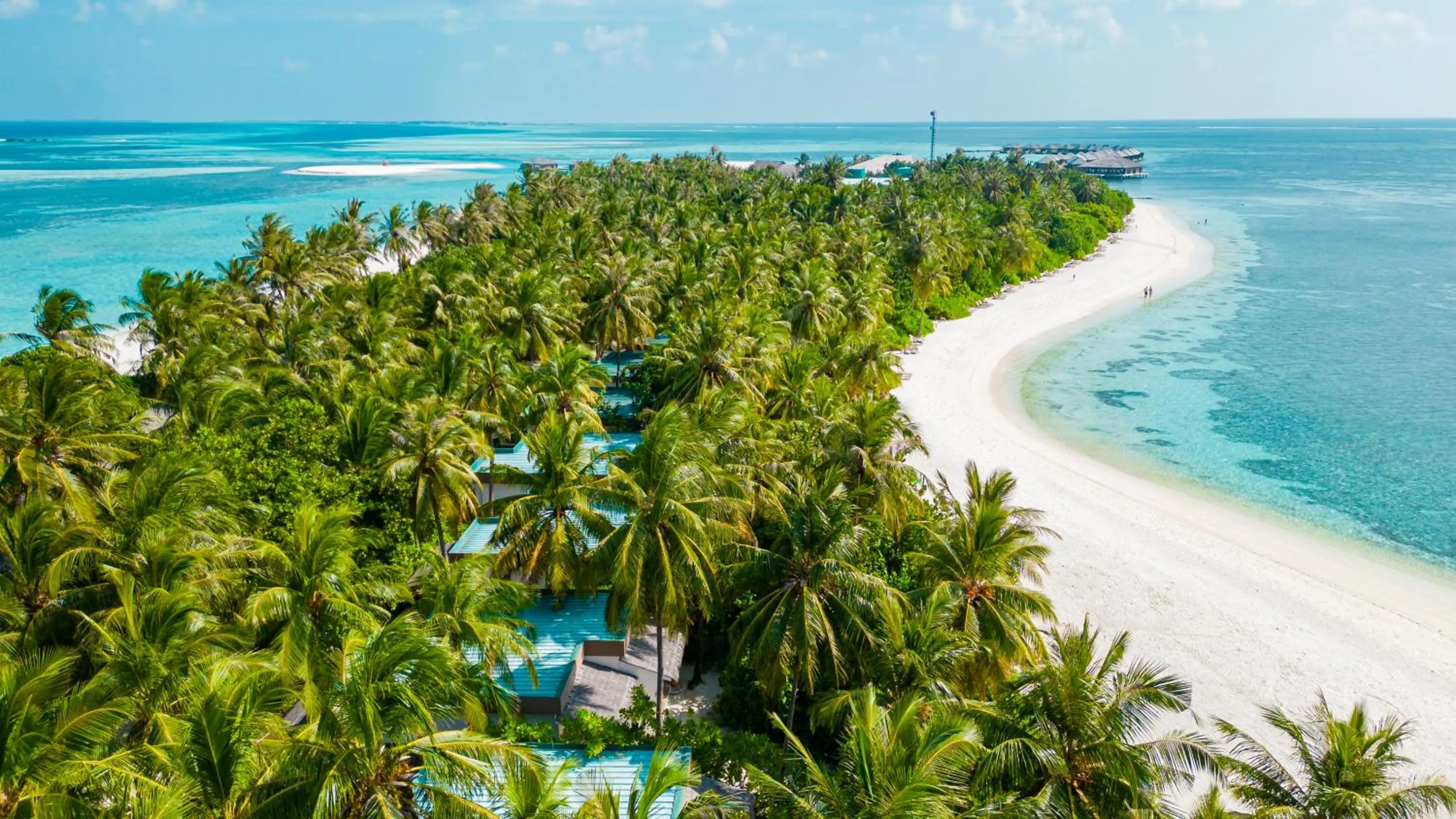 Garden in Cocoon Maldives - All Inclusive