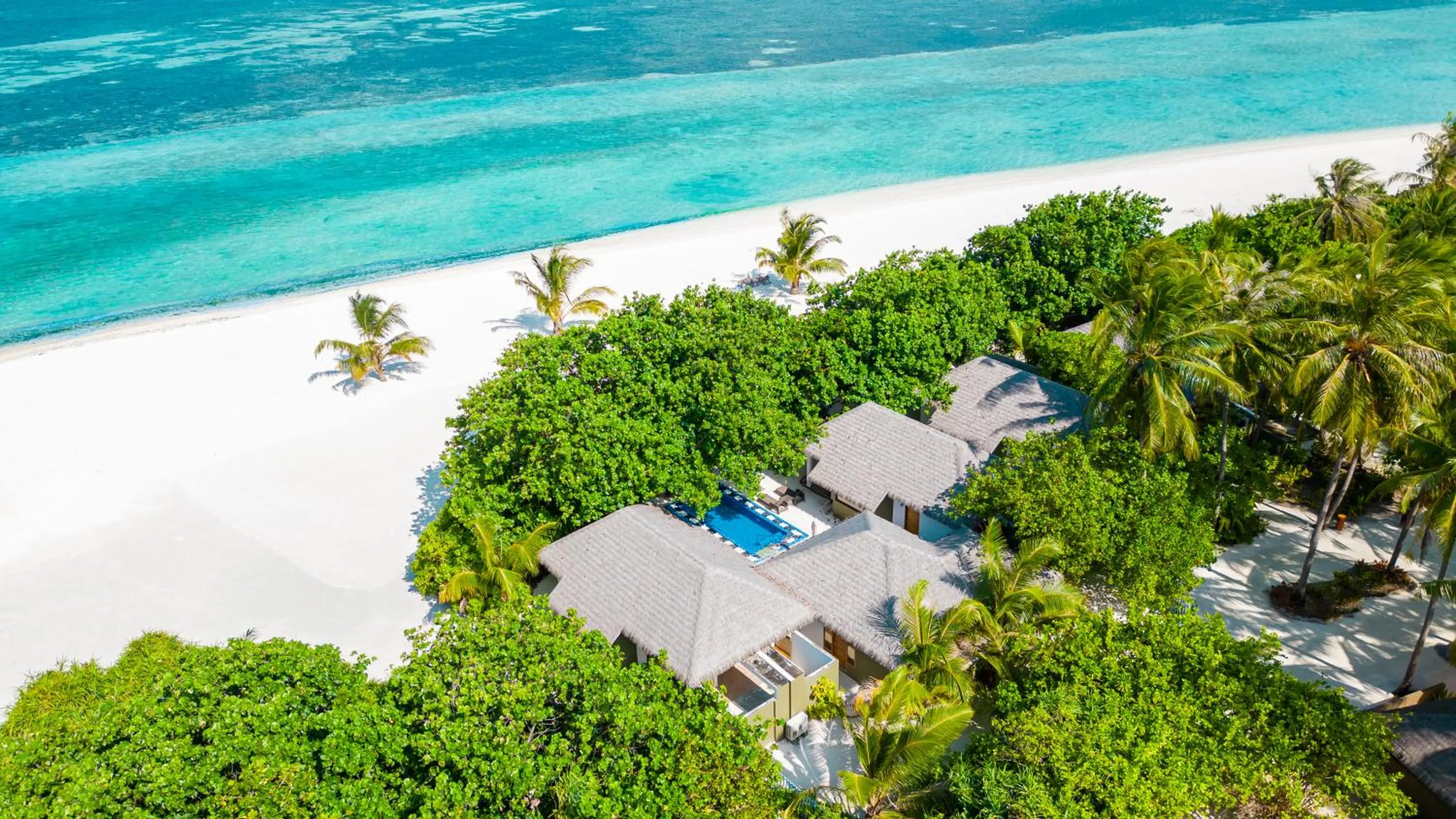 Garden in Cocoon Maldives - All Inclusive