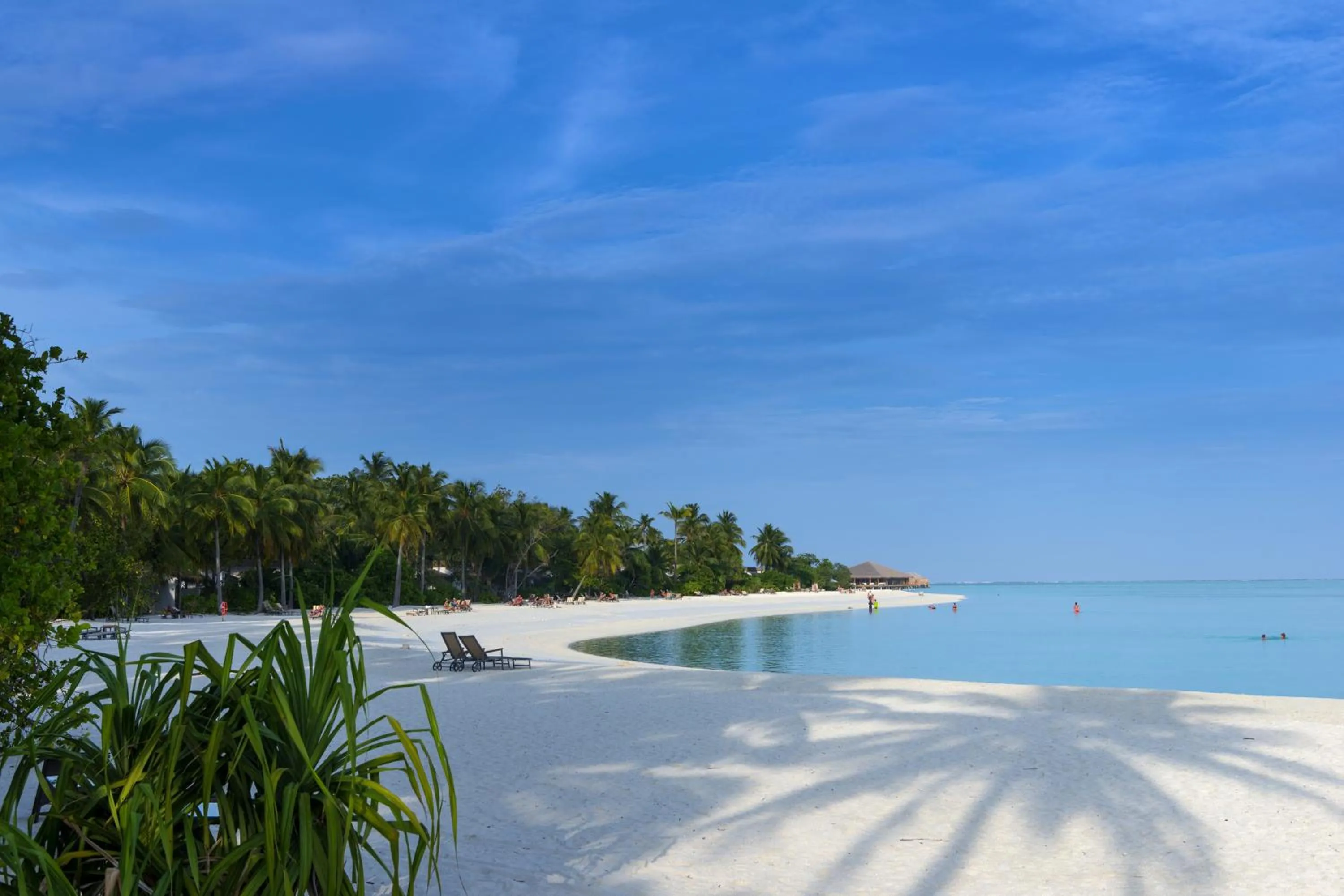 Natural landscape in Cocoon Maldives - All Inclusive