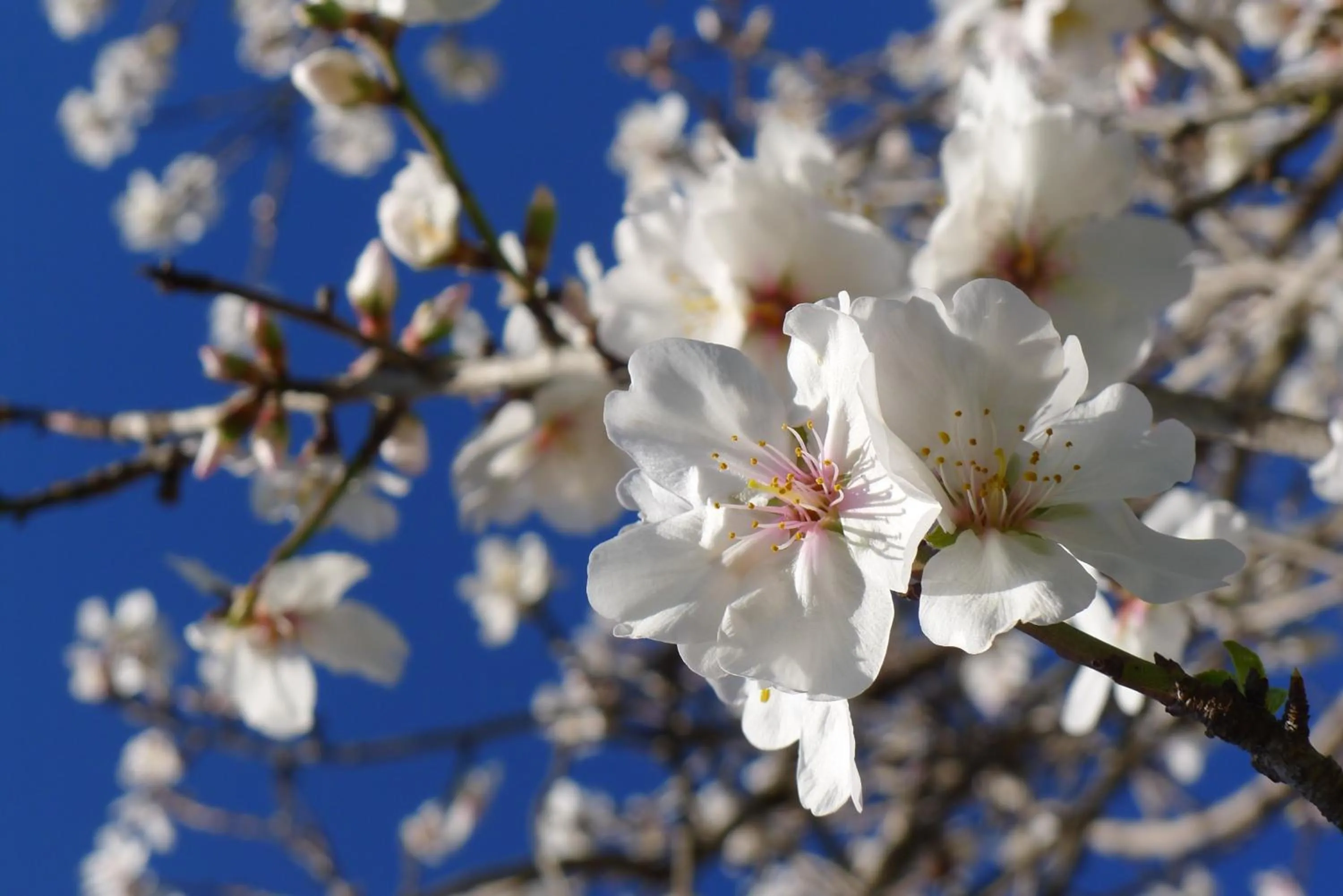 Other in Hotel Miramar