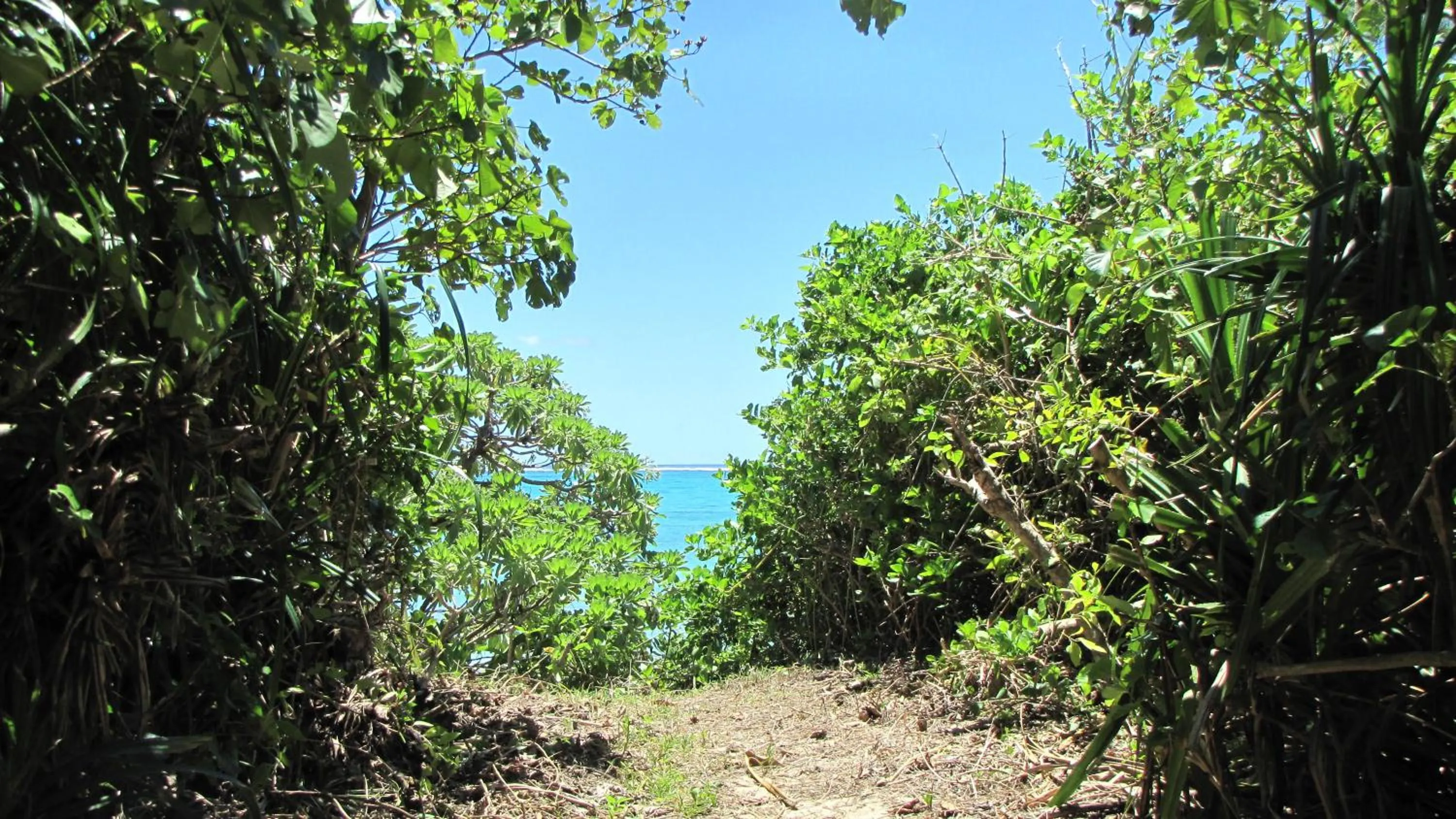 Off site in Nata Beach Villa