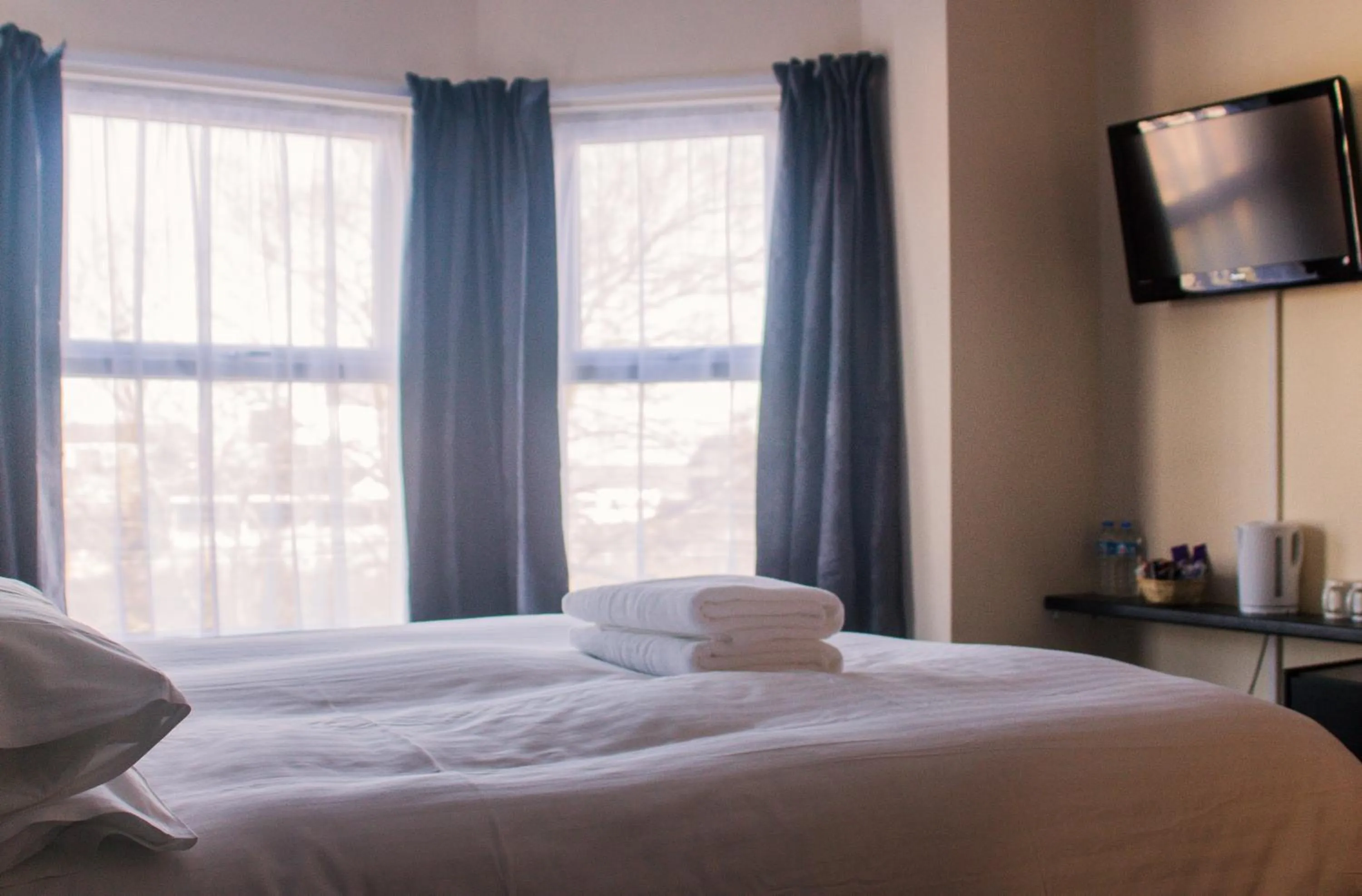 Day, Bed in Wellesley Park Hotel