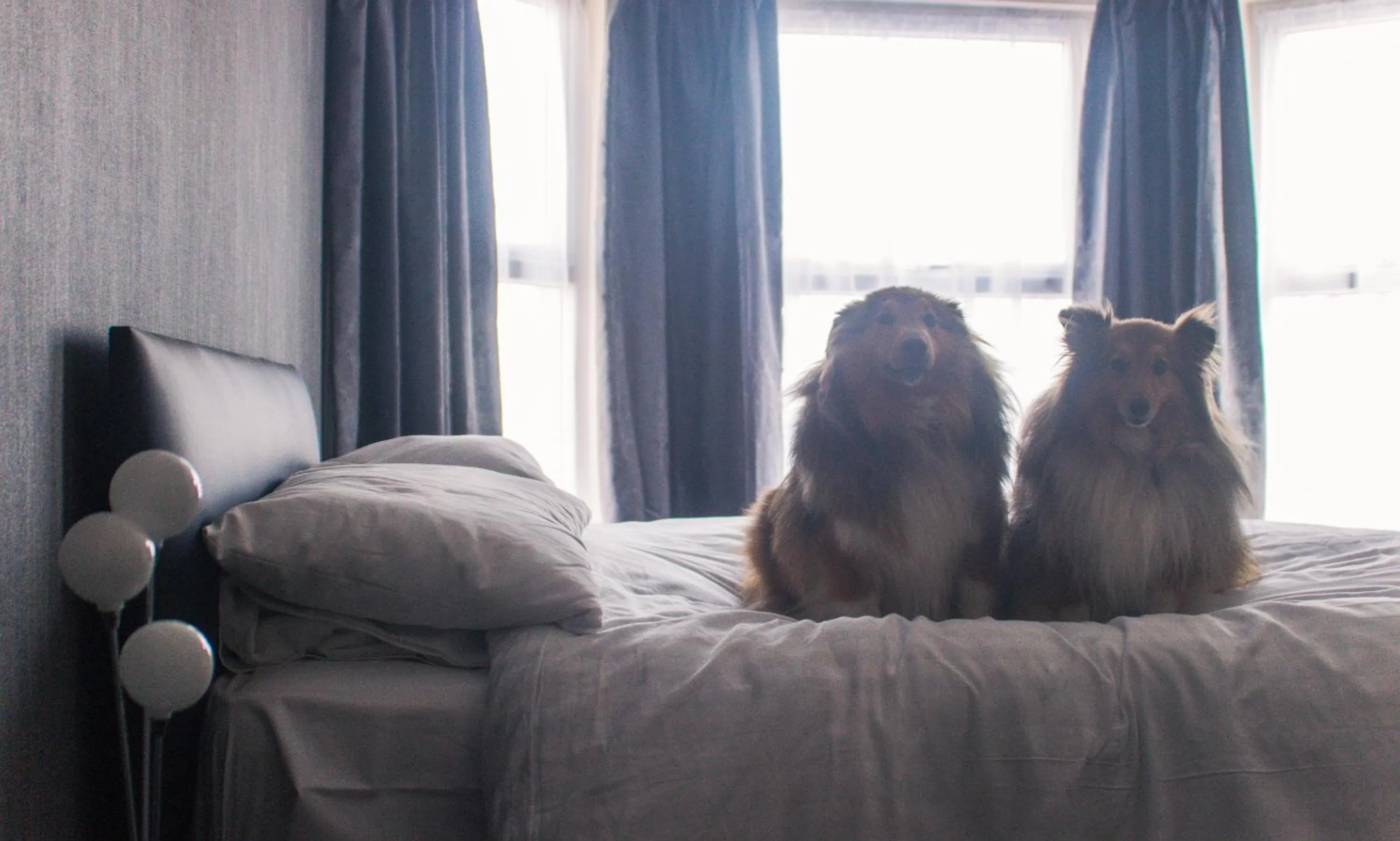 Bed in Wellesley Park Hotel