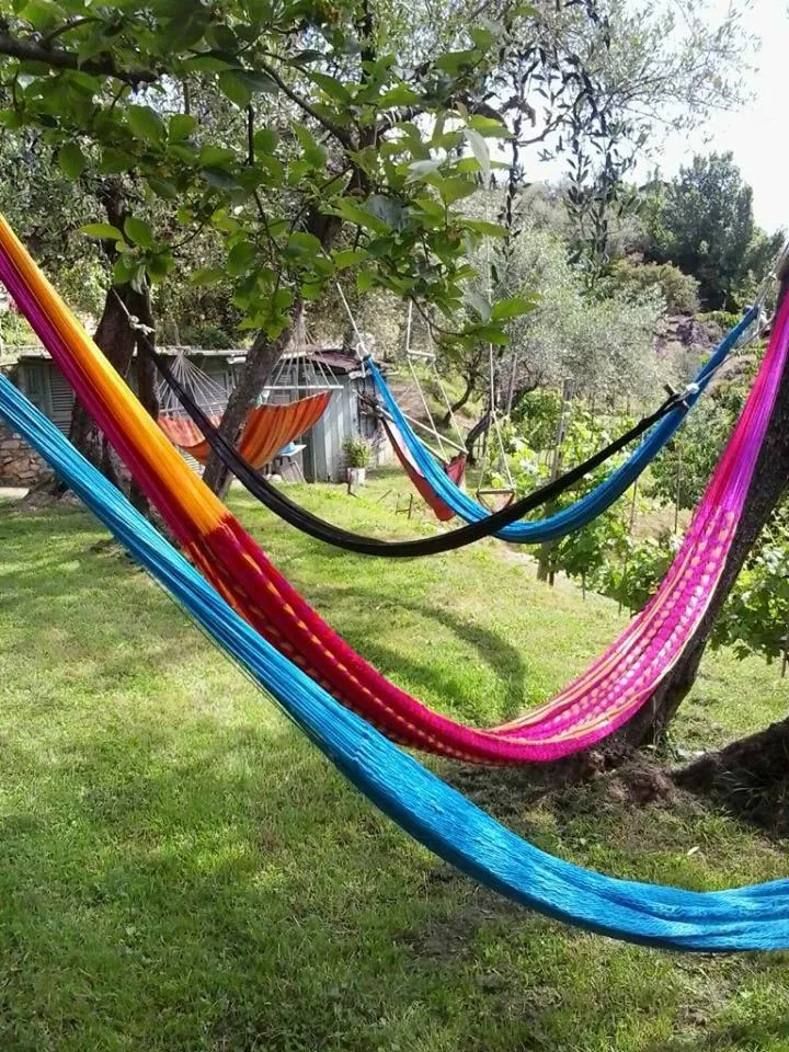 Garden in La Fattoria di Nonna Eugenia