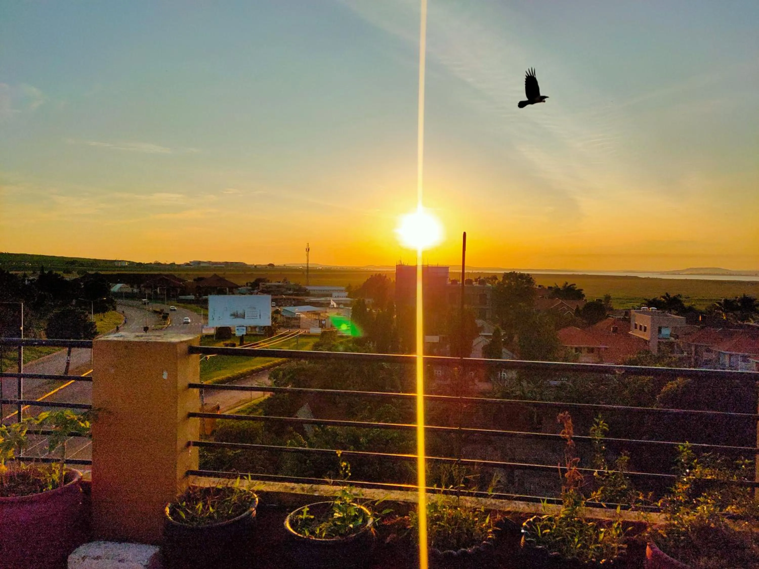 Property building in Pulickal Airport Hotel