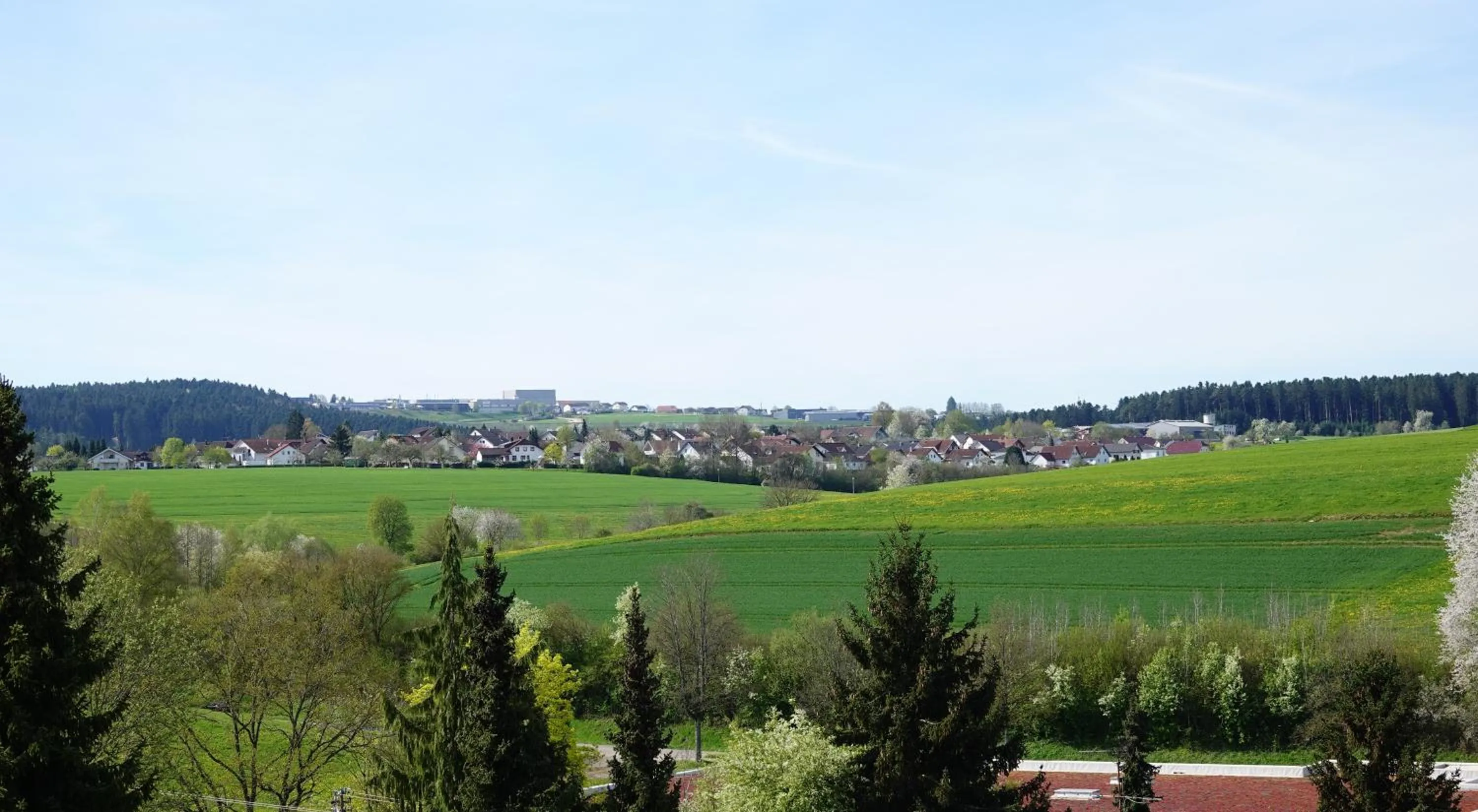 View (from property/room) in Hotel-Resort Waldachtal - Adults only