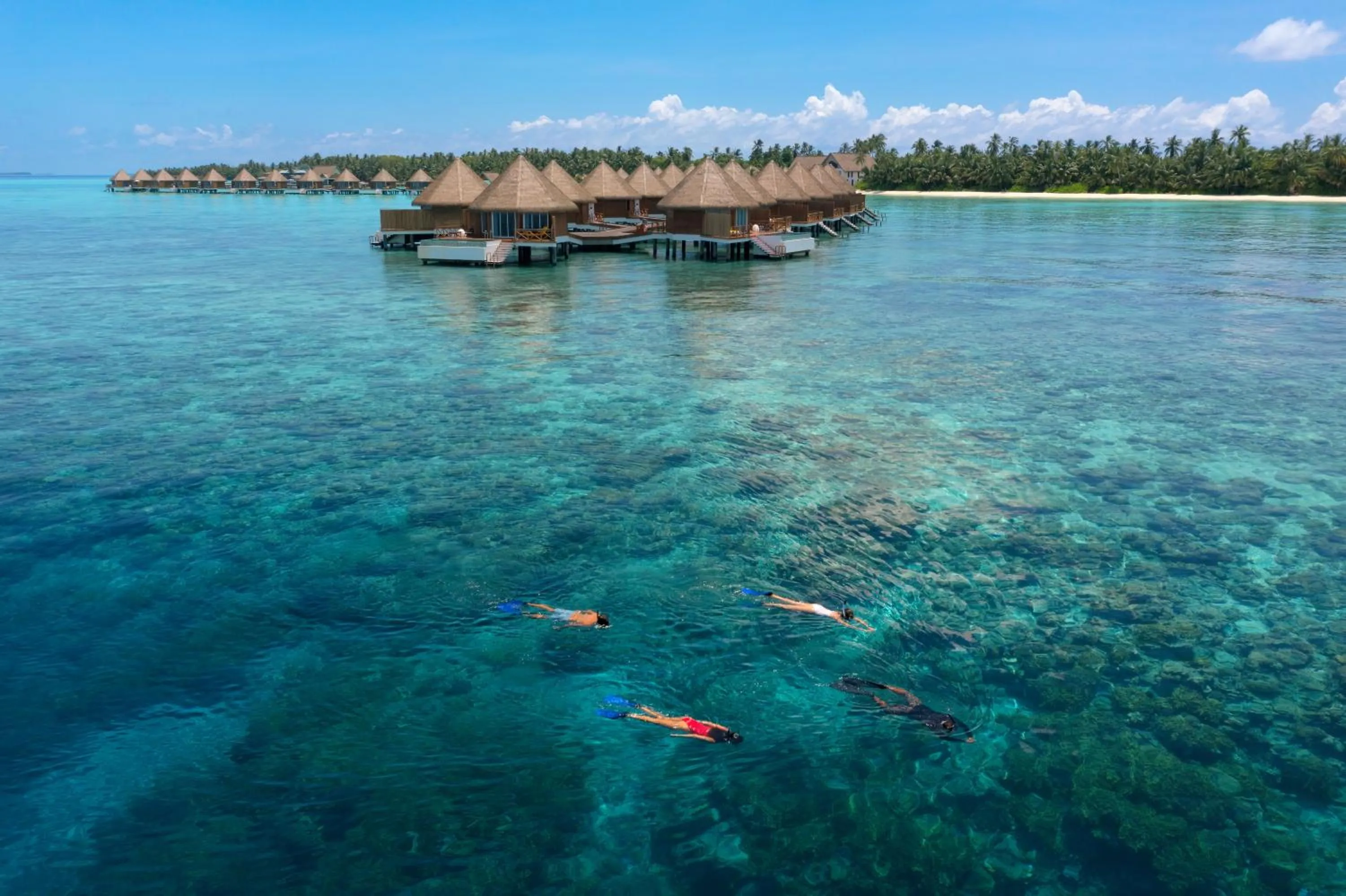 Activities in Mercure Maldives Kooddoo - Adults-Only Escape - 50 percent off Domestic Transfers