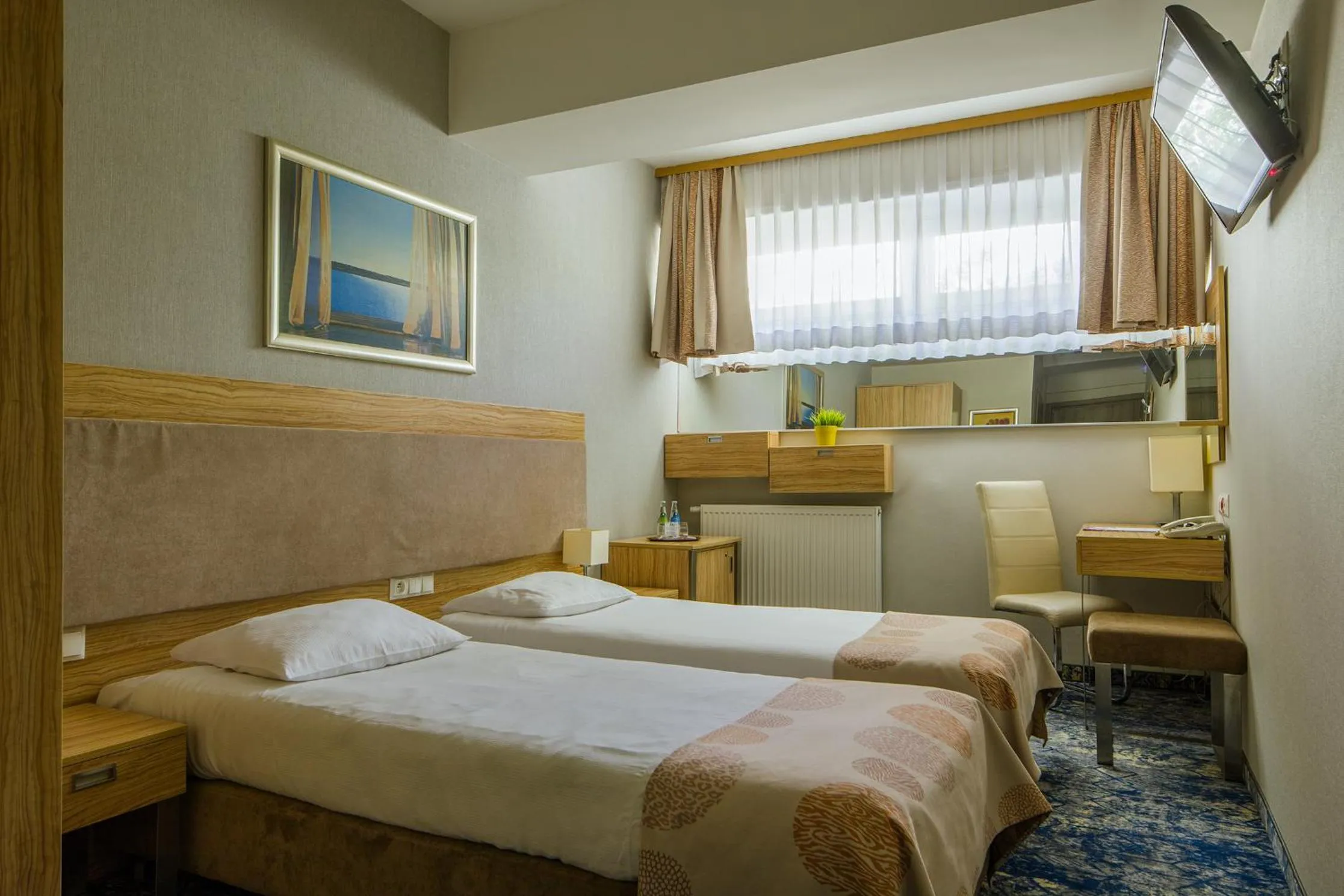 Budget Single Room in Hotel Centrum Business
