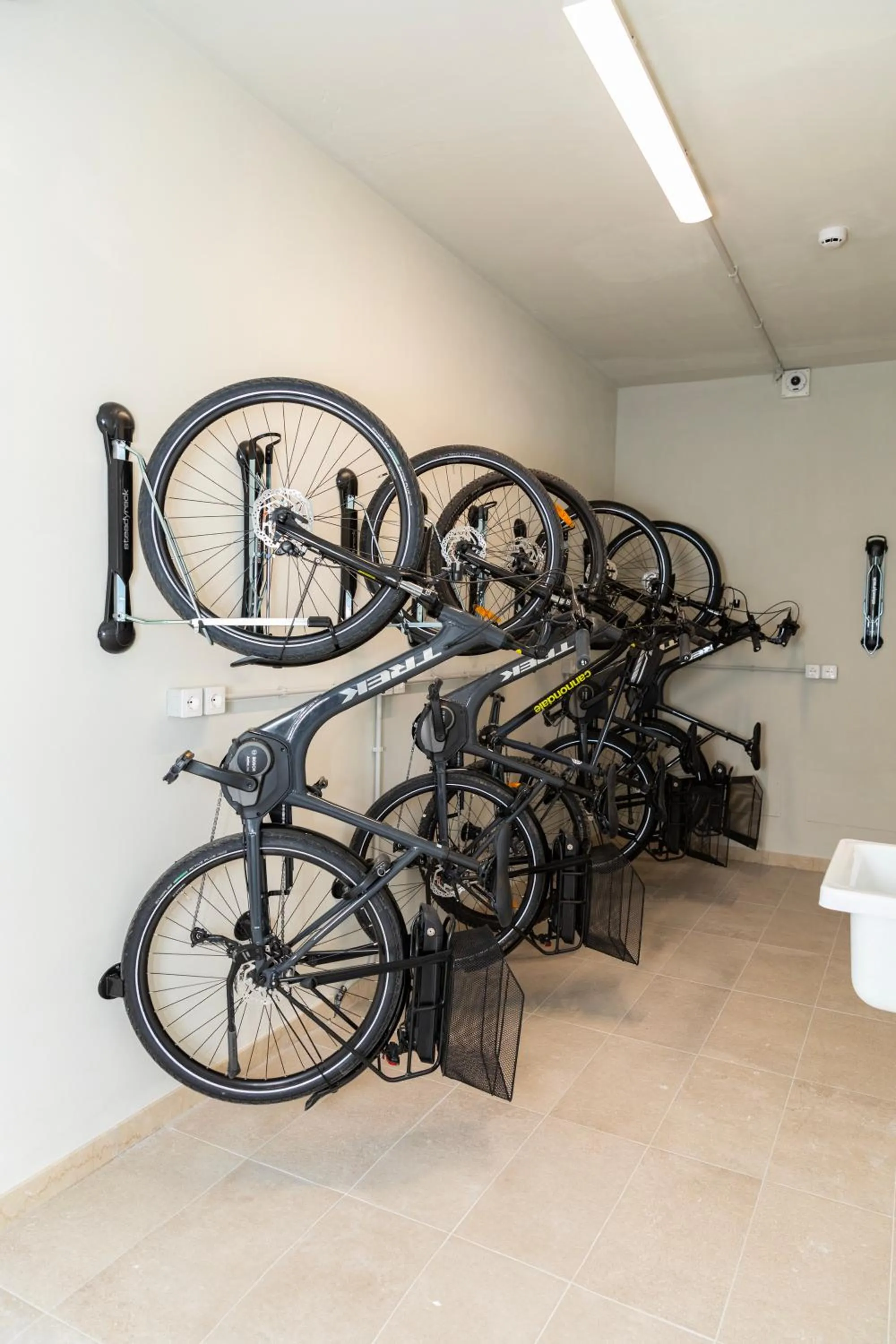 Cycling in Palace Hotel San Pietro