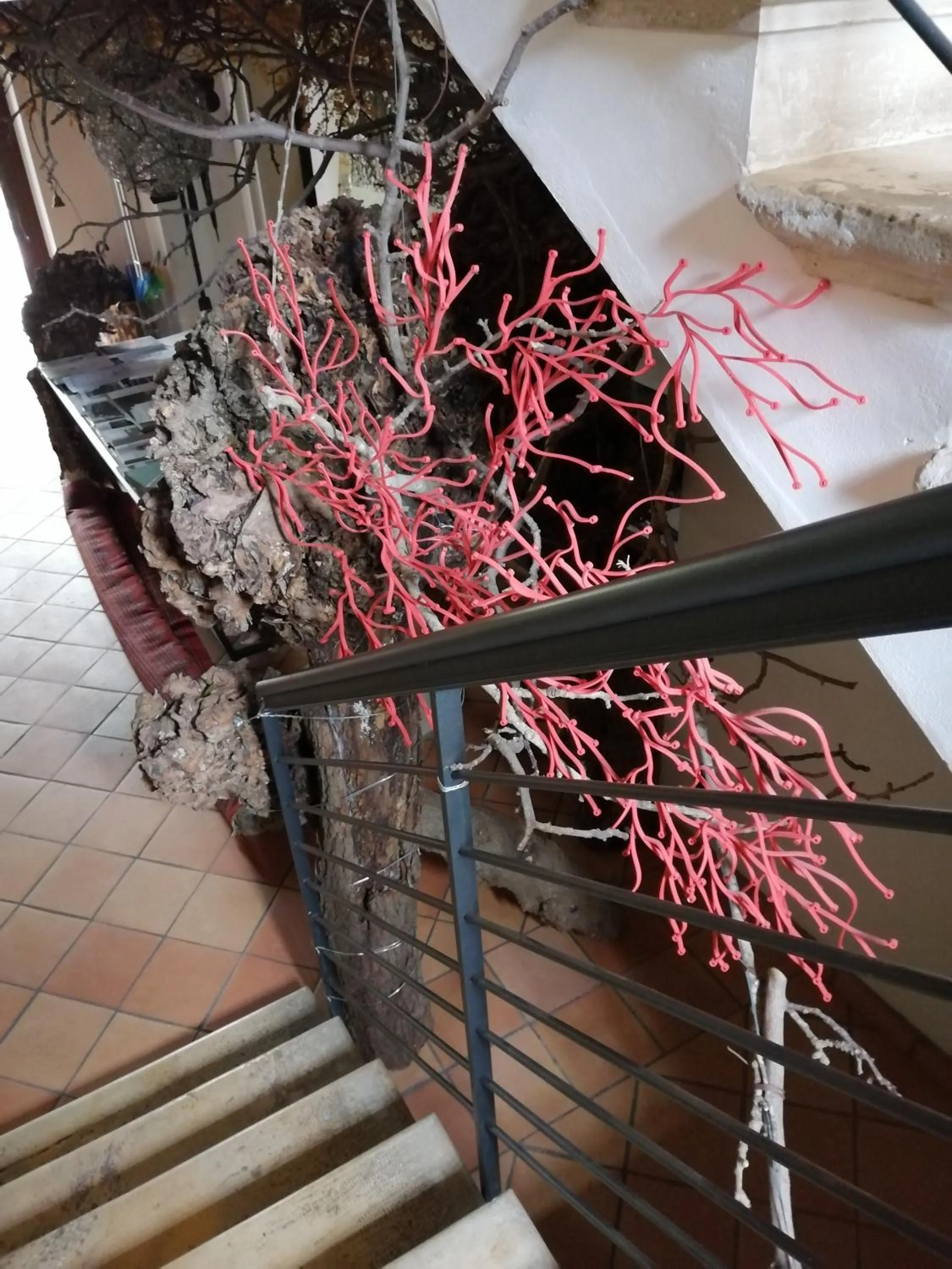 Lobby or reception in Ristolocanda Grani Di Pepe