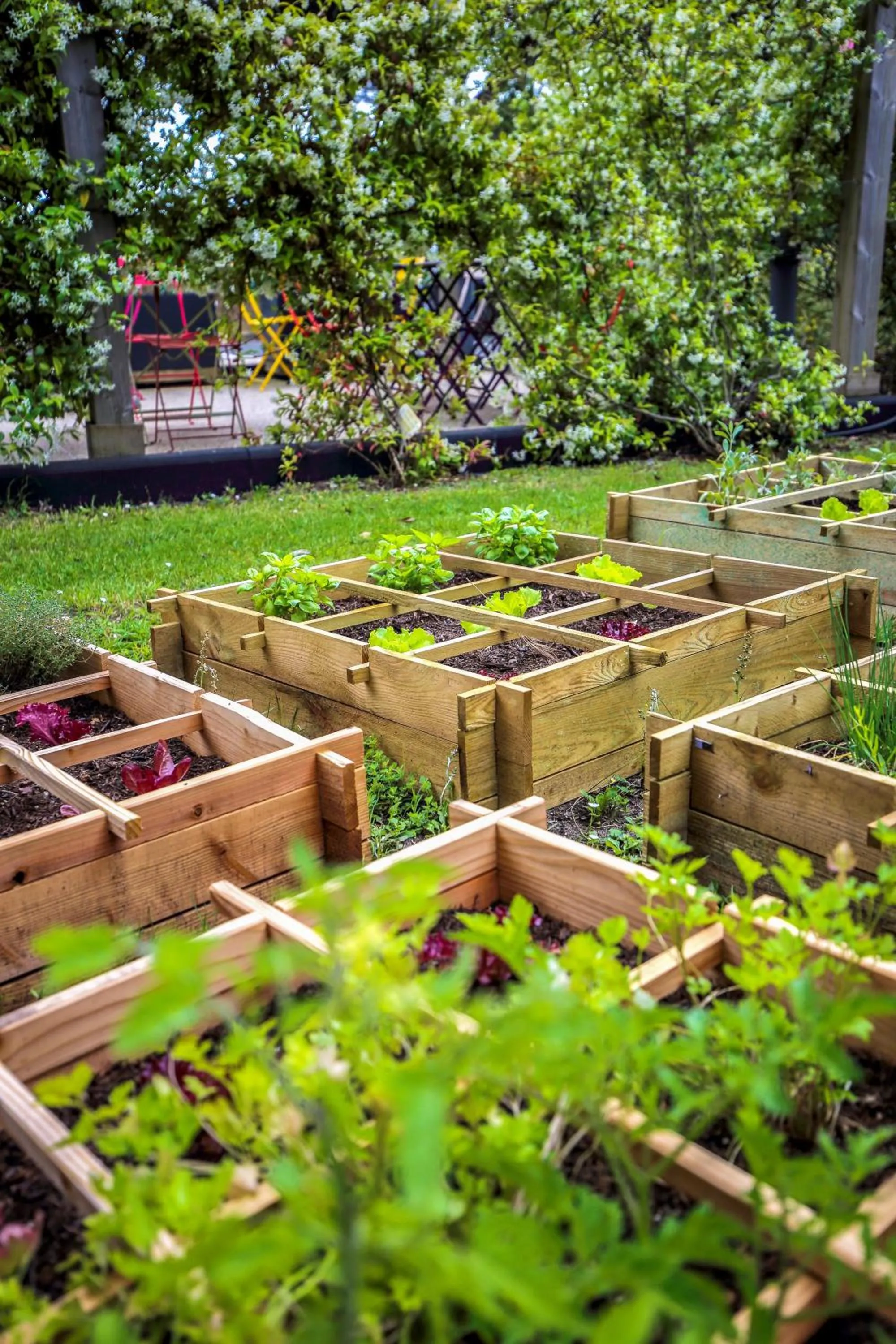 Garden in greet La Teste Bassin d'Arcachon