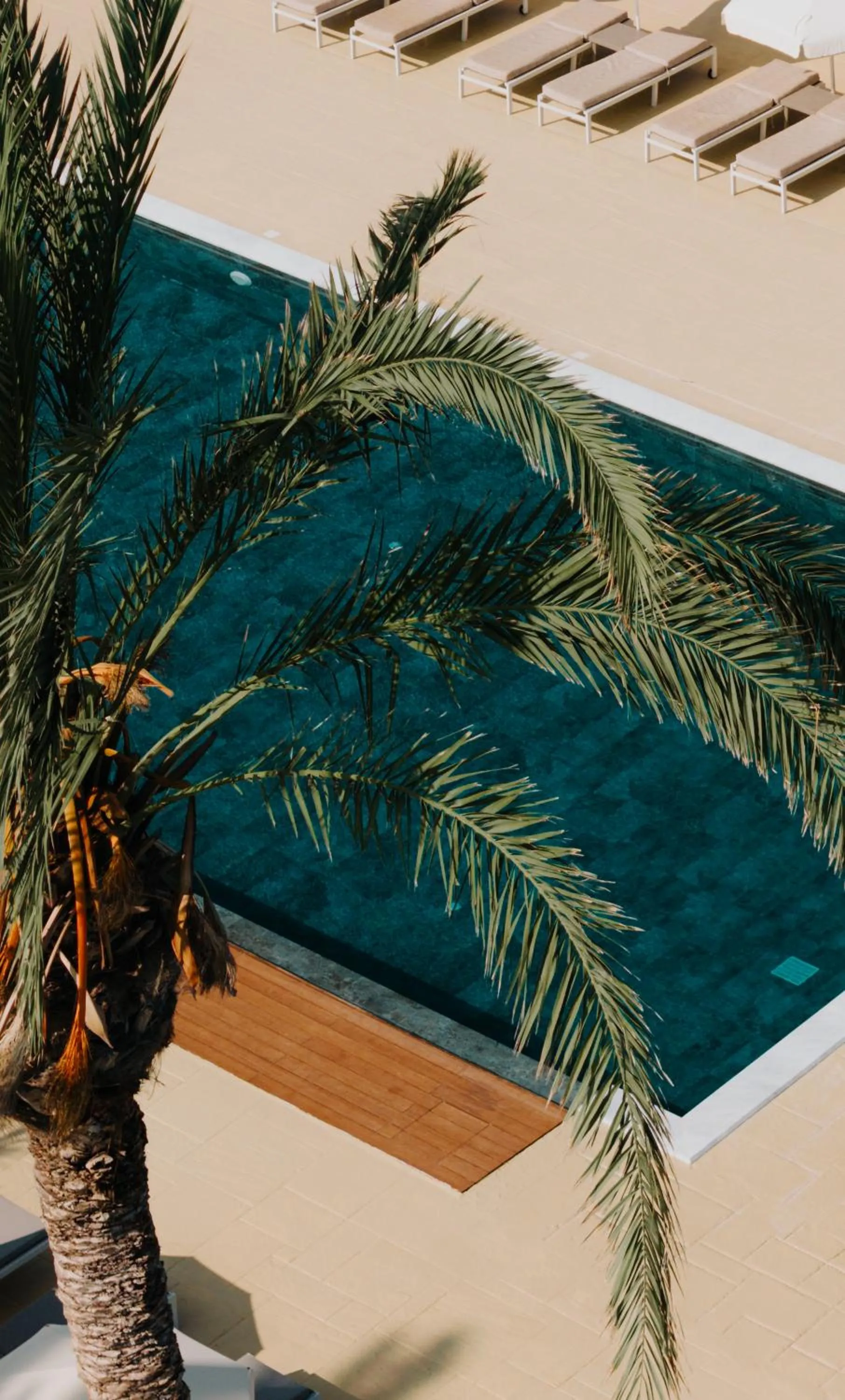 Swimming pool in Vrachia Beach Hotel & Suites - Adults Only