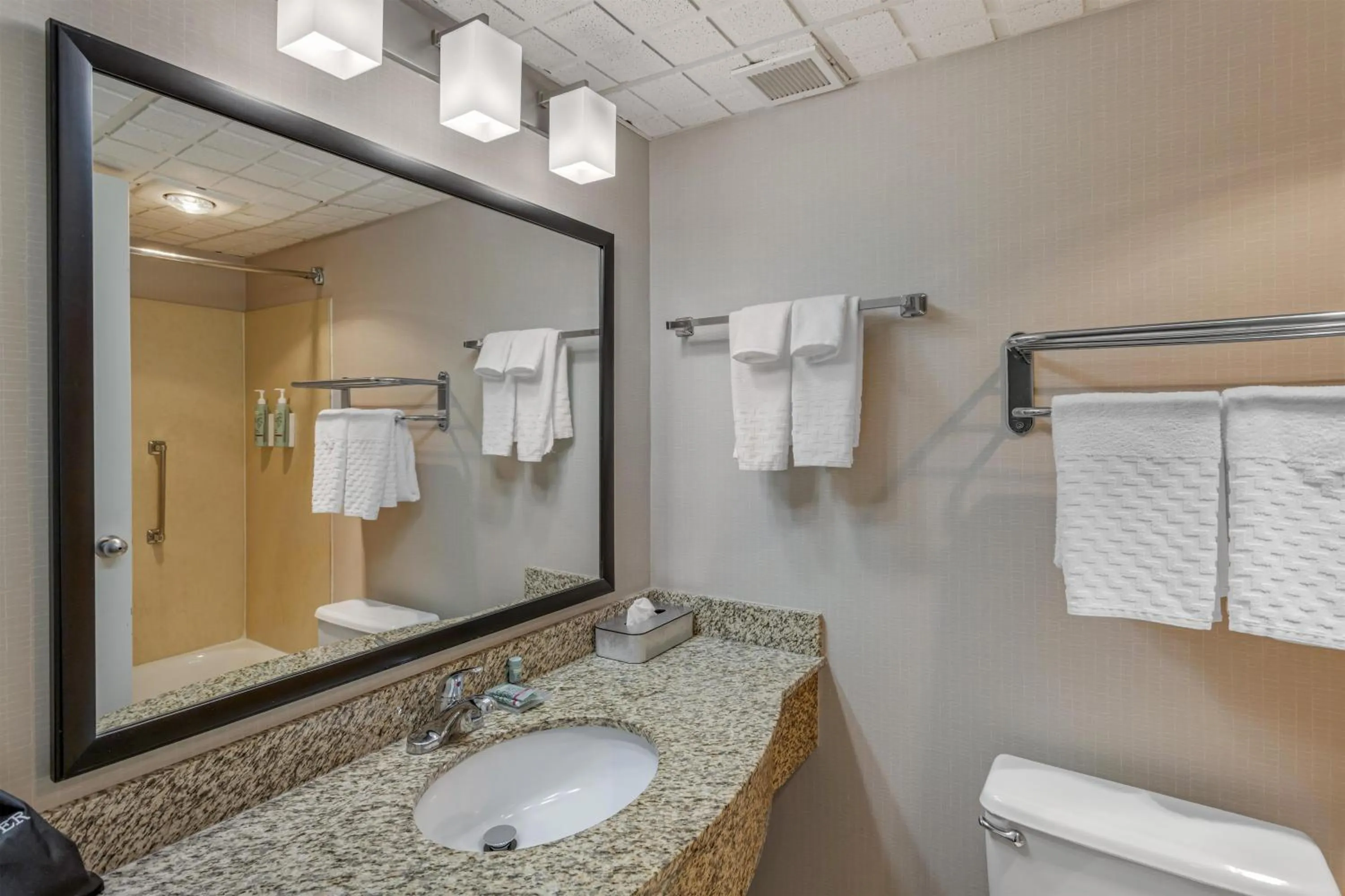 Bathroom in Best Western Hunt's Landing Hotel Matamoras Milford