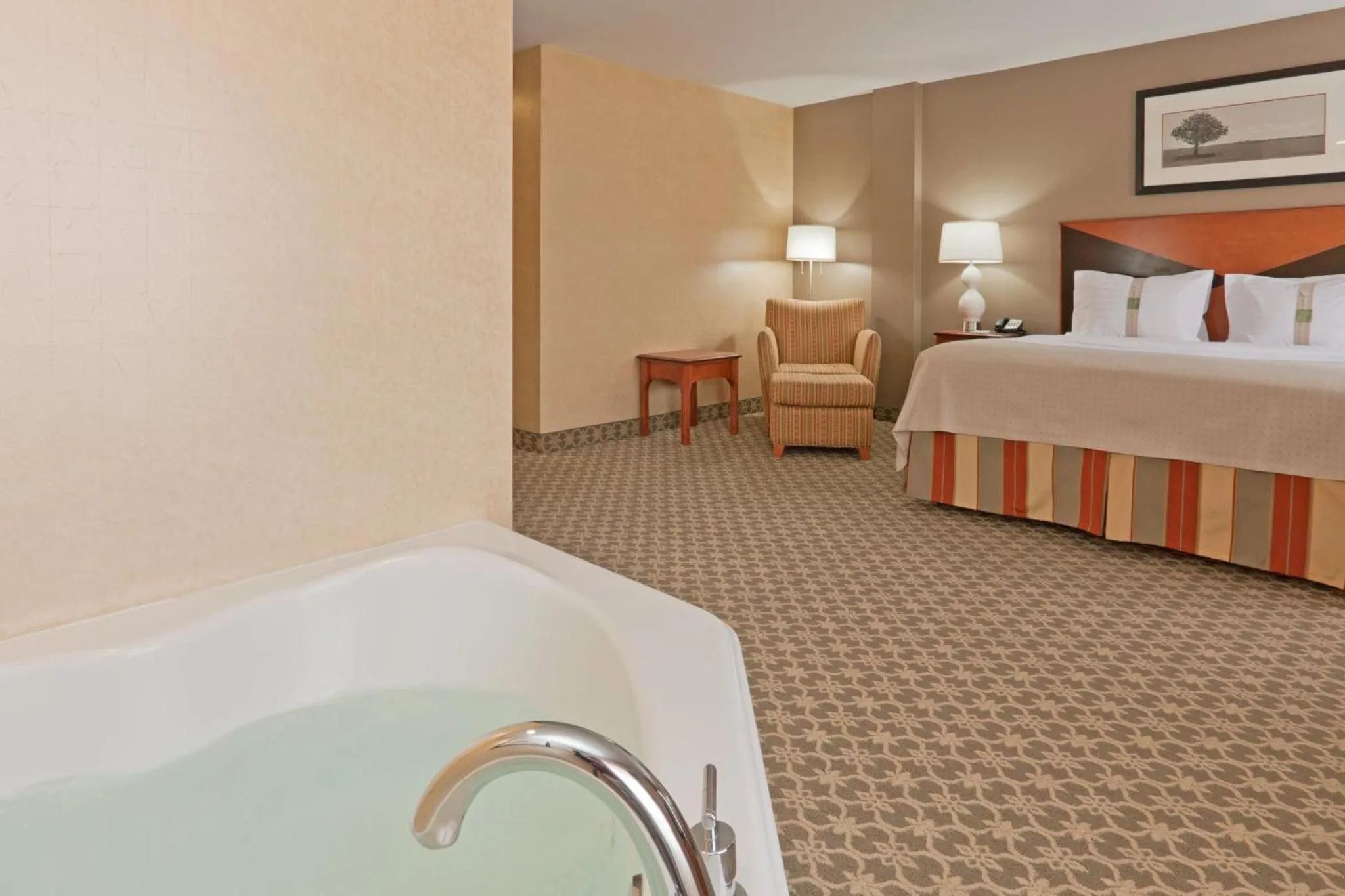 Photo of the whole room, Bed in Holiday Inn Carbondale - Conference Center by IHG