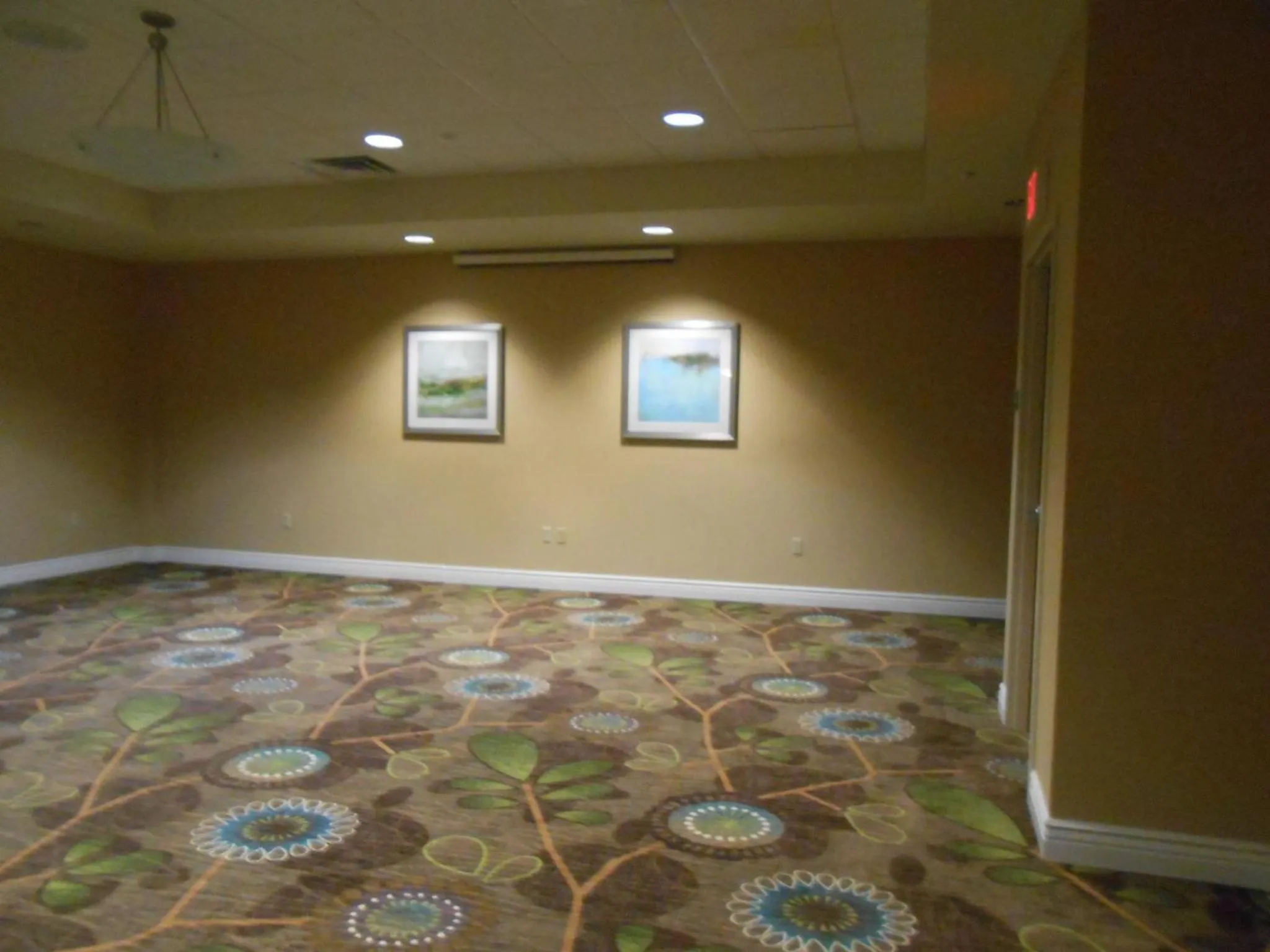 Spa and wellness centre/facilities in Holiday Inn Carbondale - Conference Center by IHG