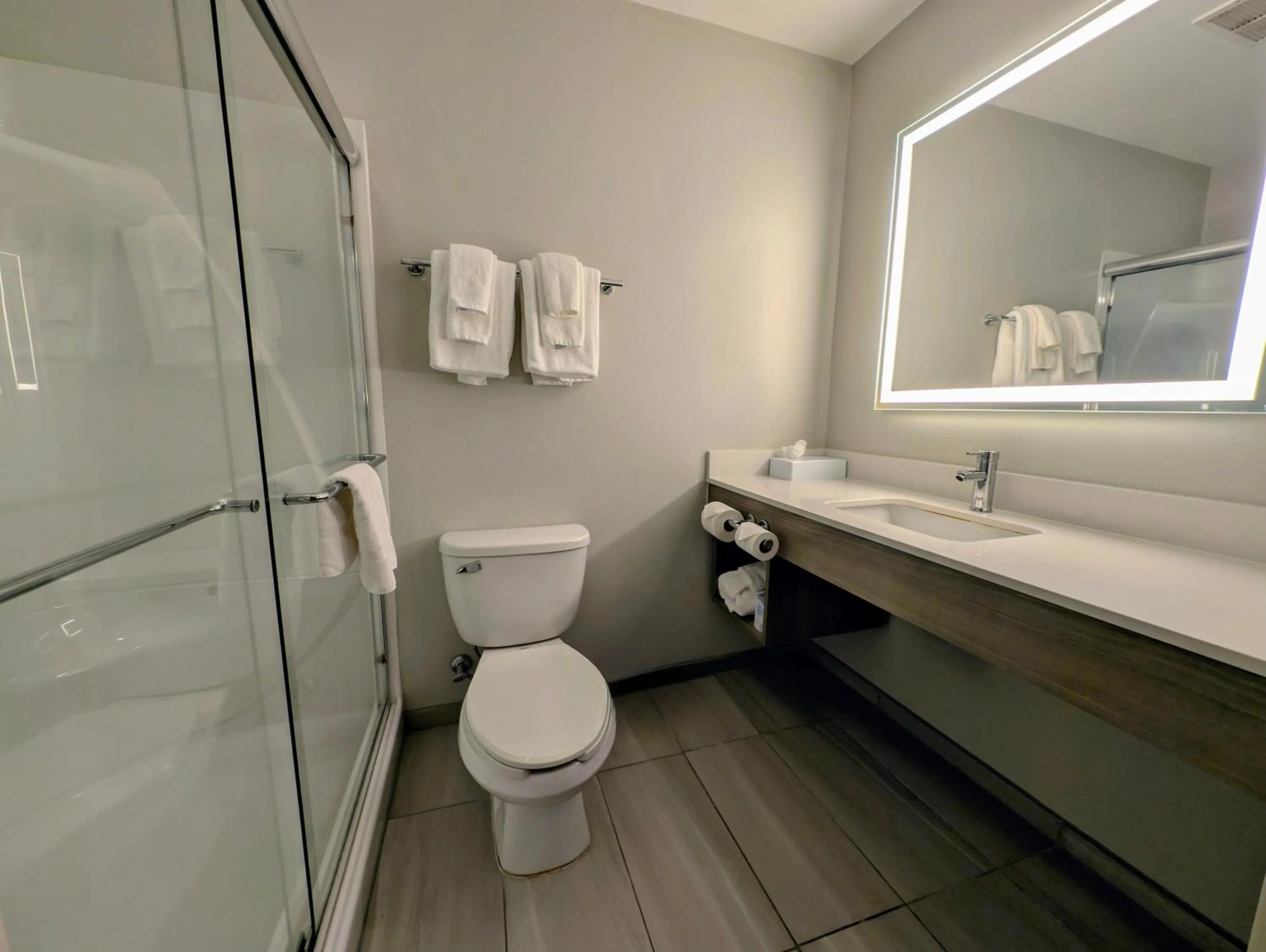 Shower in Holiday Inn Carbondale - Conference Center by IHG