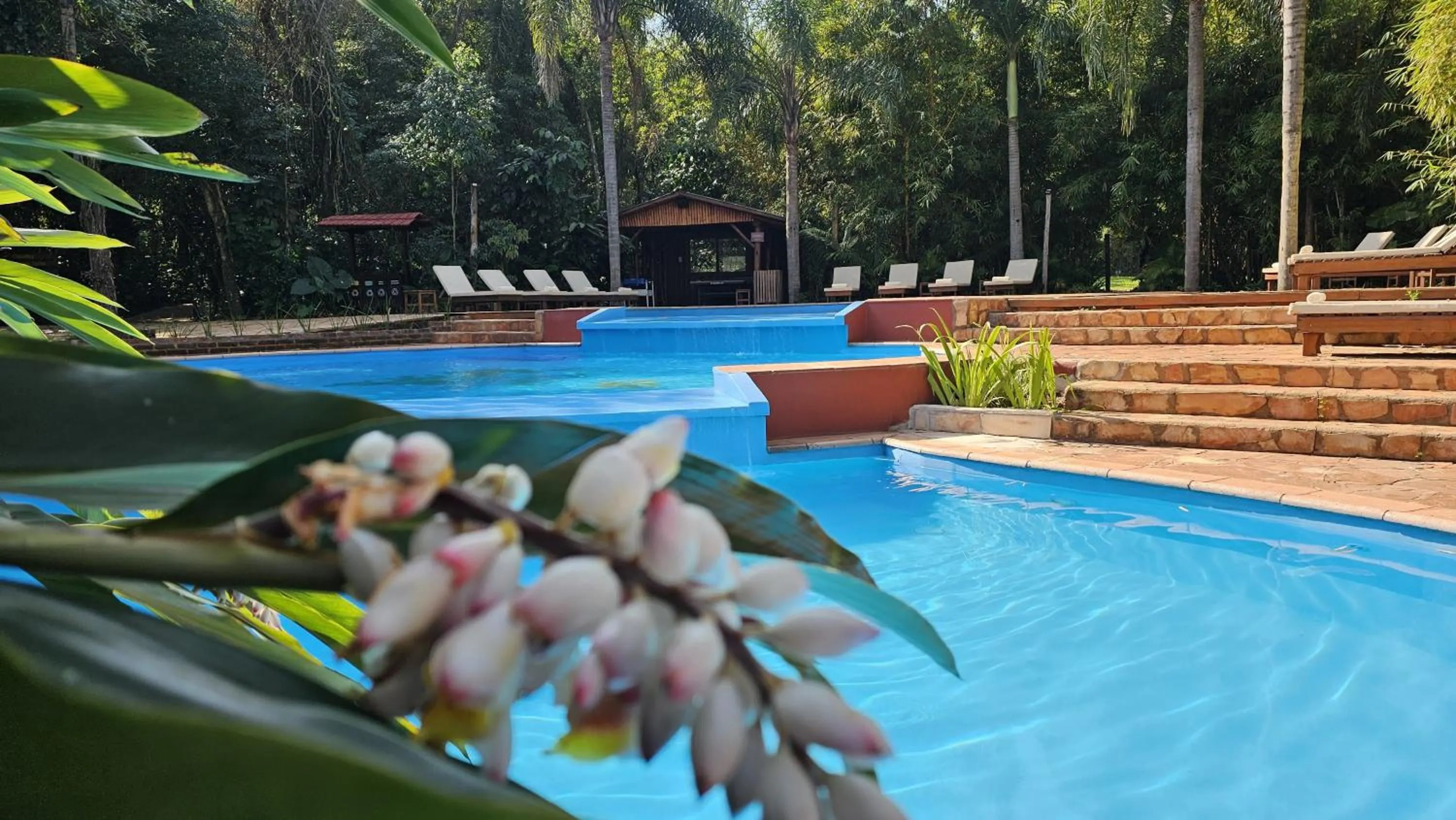 Pool view in La Aldea De La Selva Lodge