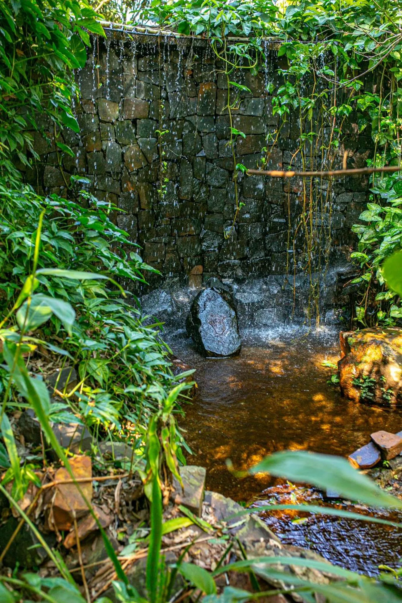 Spring in La Aldea De La Selva Lodge