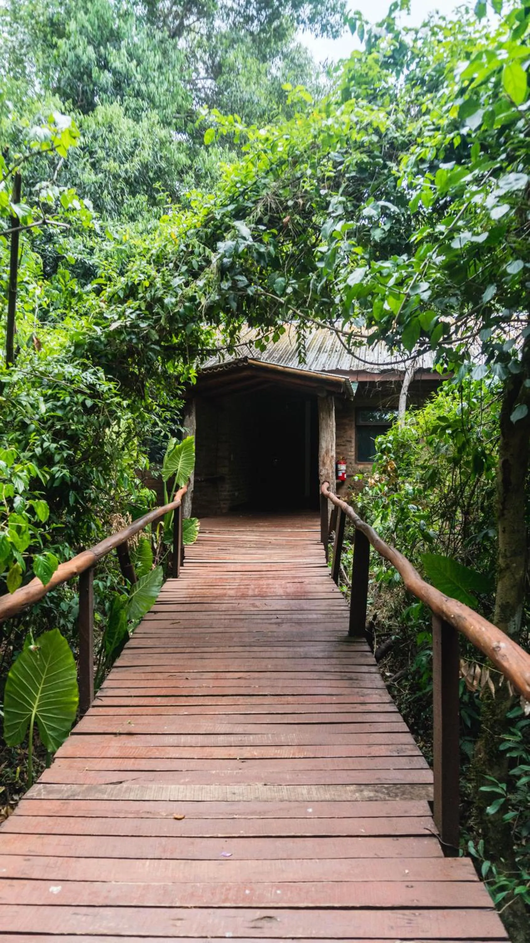 Spring in La Aldea De La Selva Lodge