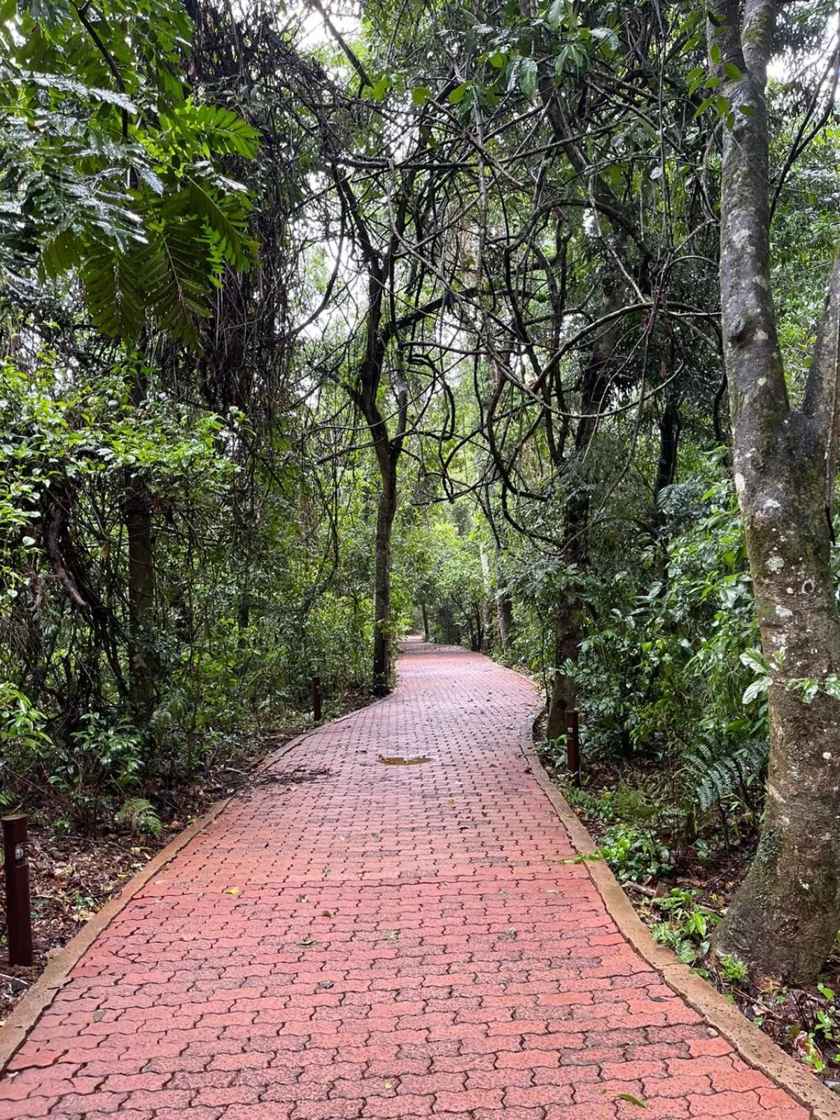 Garden view in La Aldea De La Selva Lodge