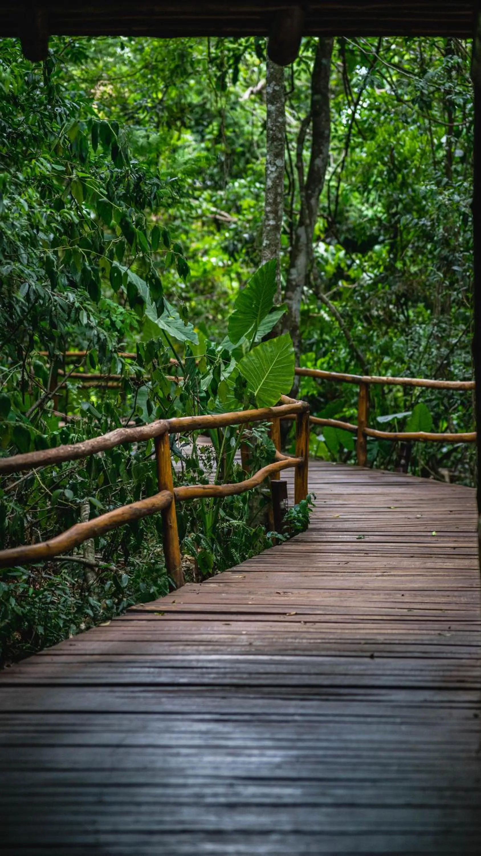 Spring in La Aldea De La Selva Lodge