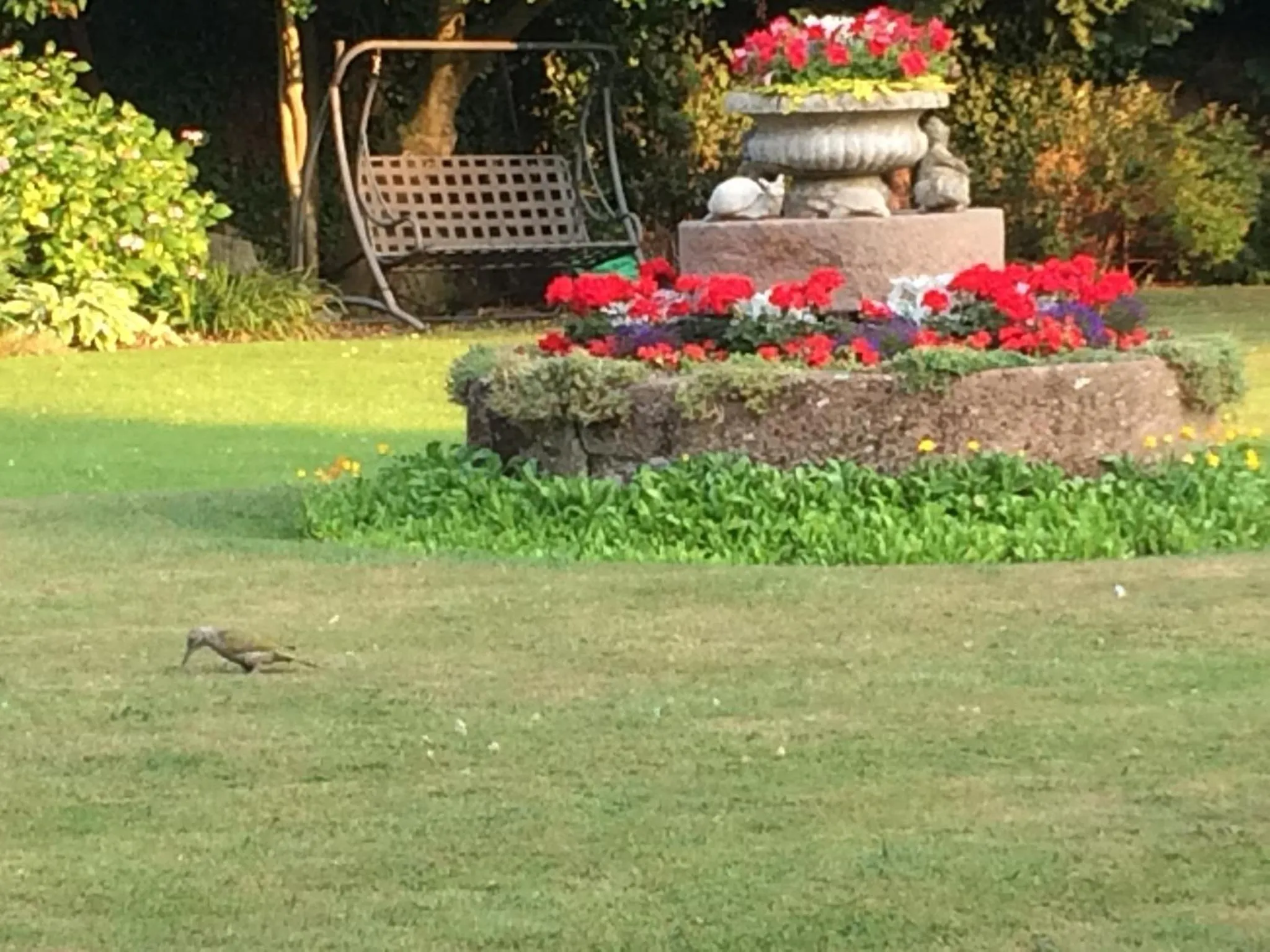 Garden in Little Manor