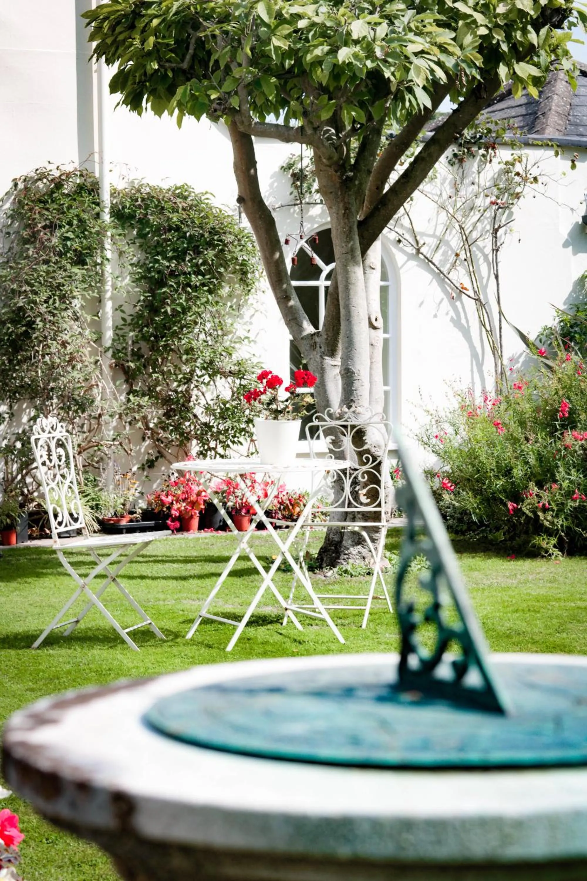 Garden in Little Manor