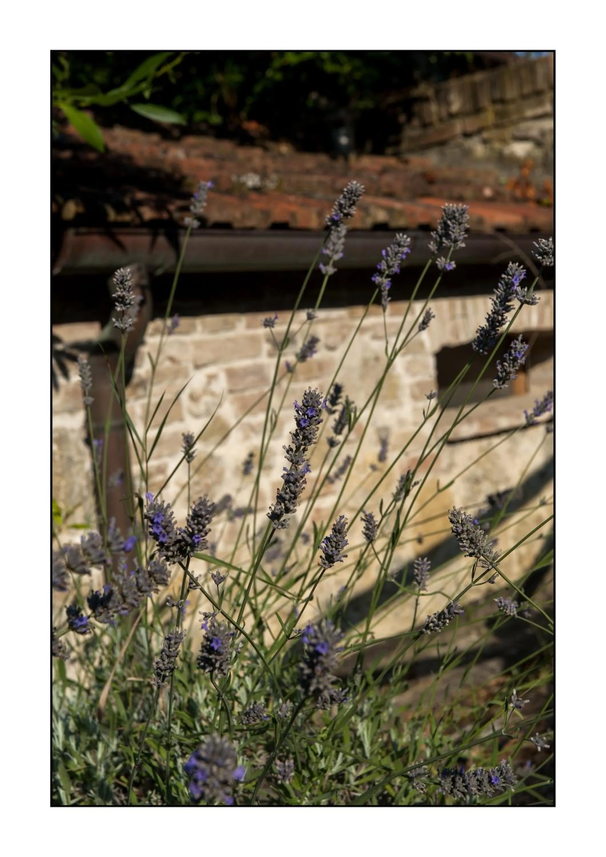 Decorative detail in B&B Casale Virgili