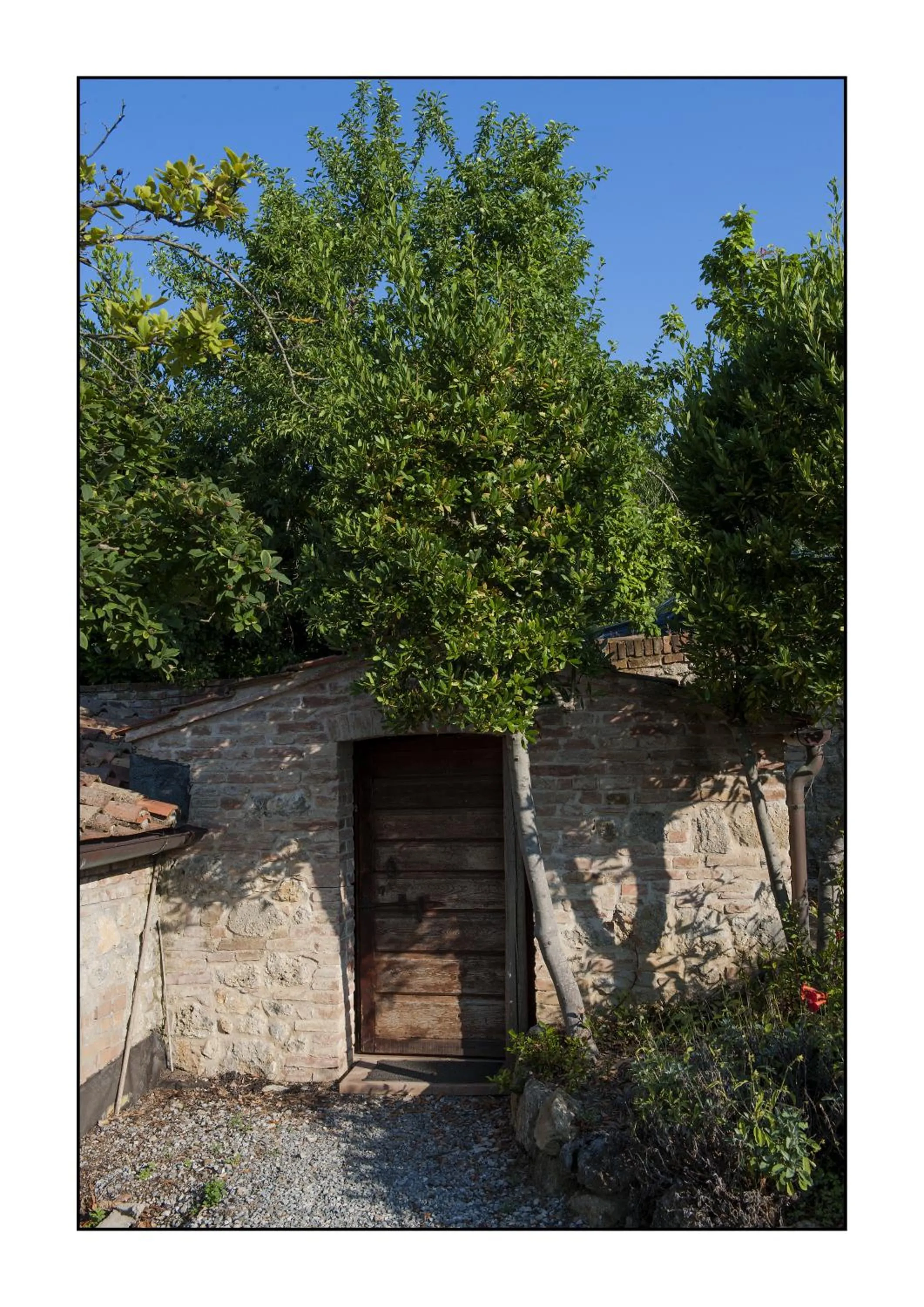 Area and facilities in B&B Casale Virgili