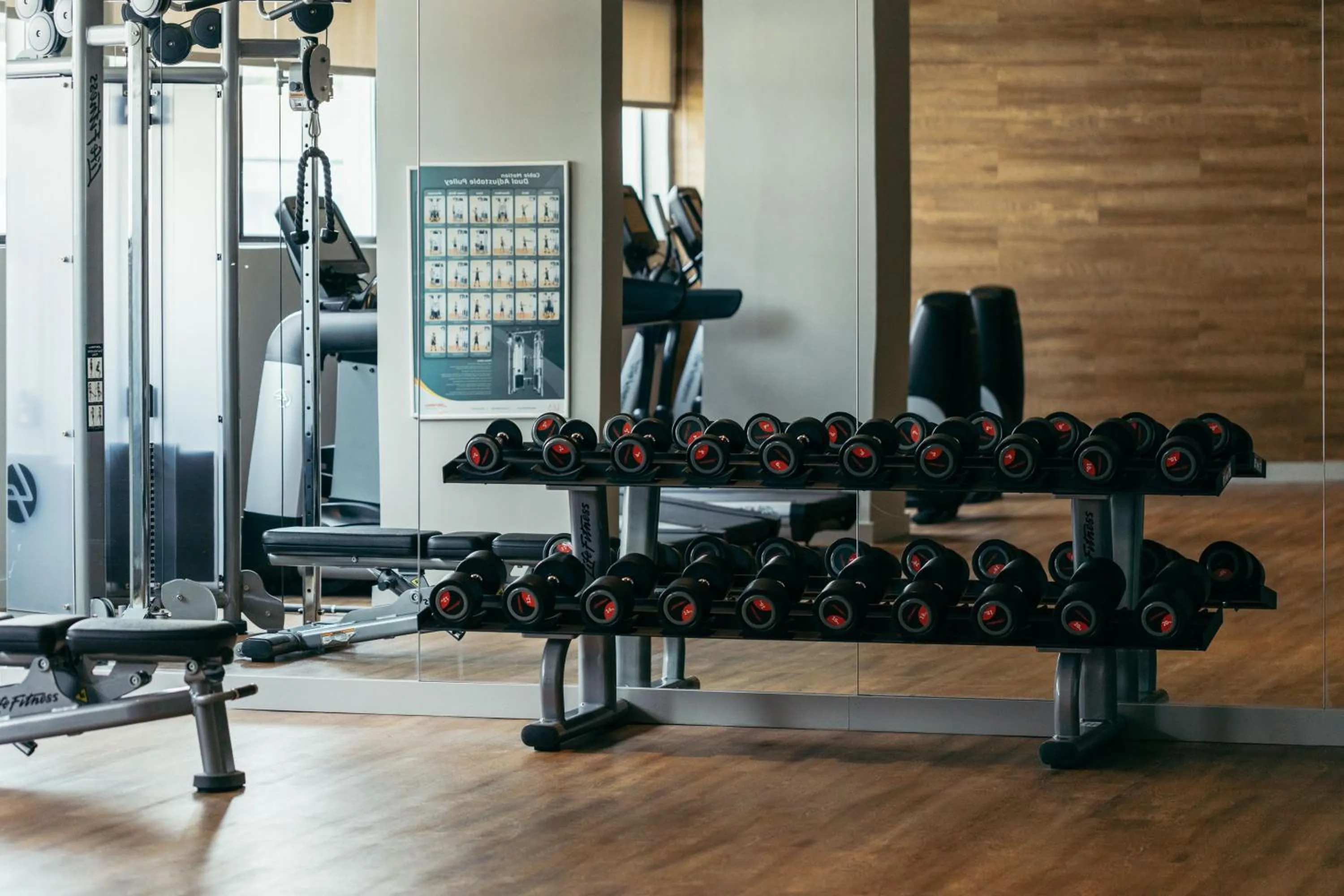 Fitness centre/facilities in Octant Ponta Delgada