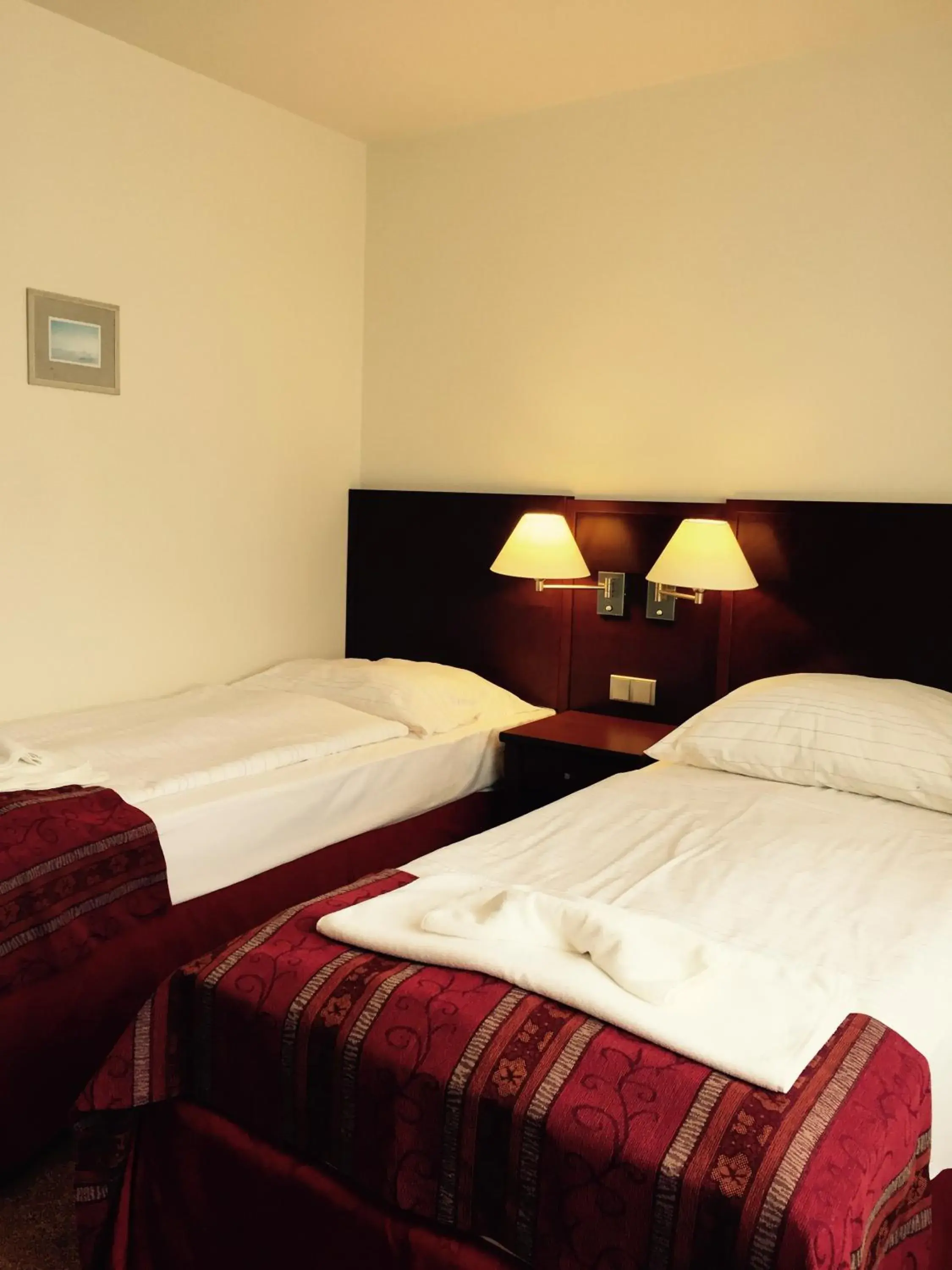 Standard Twin Room - single occupancy in Hotel Atrium Standard Twin Room - single occupancy in Hotel Atrium