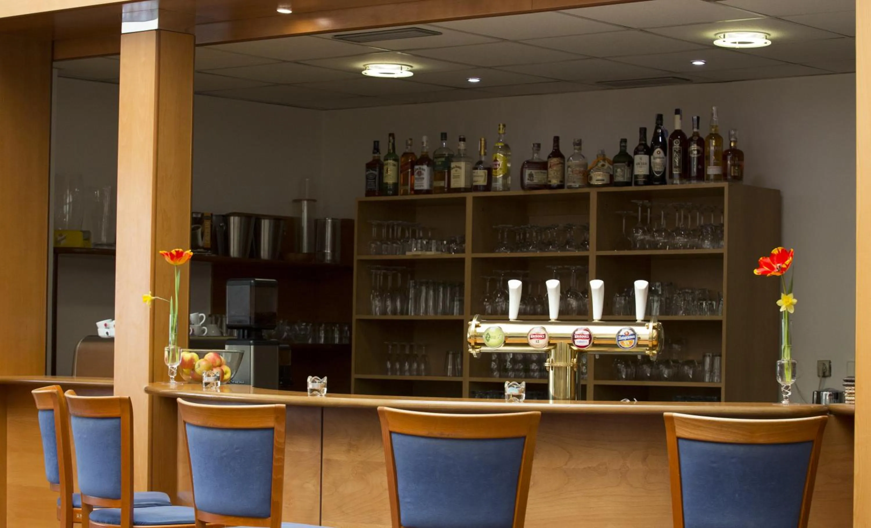 Lounge or bar in Hotel Atrium