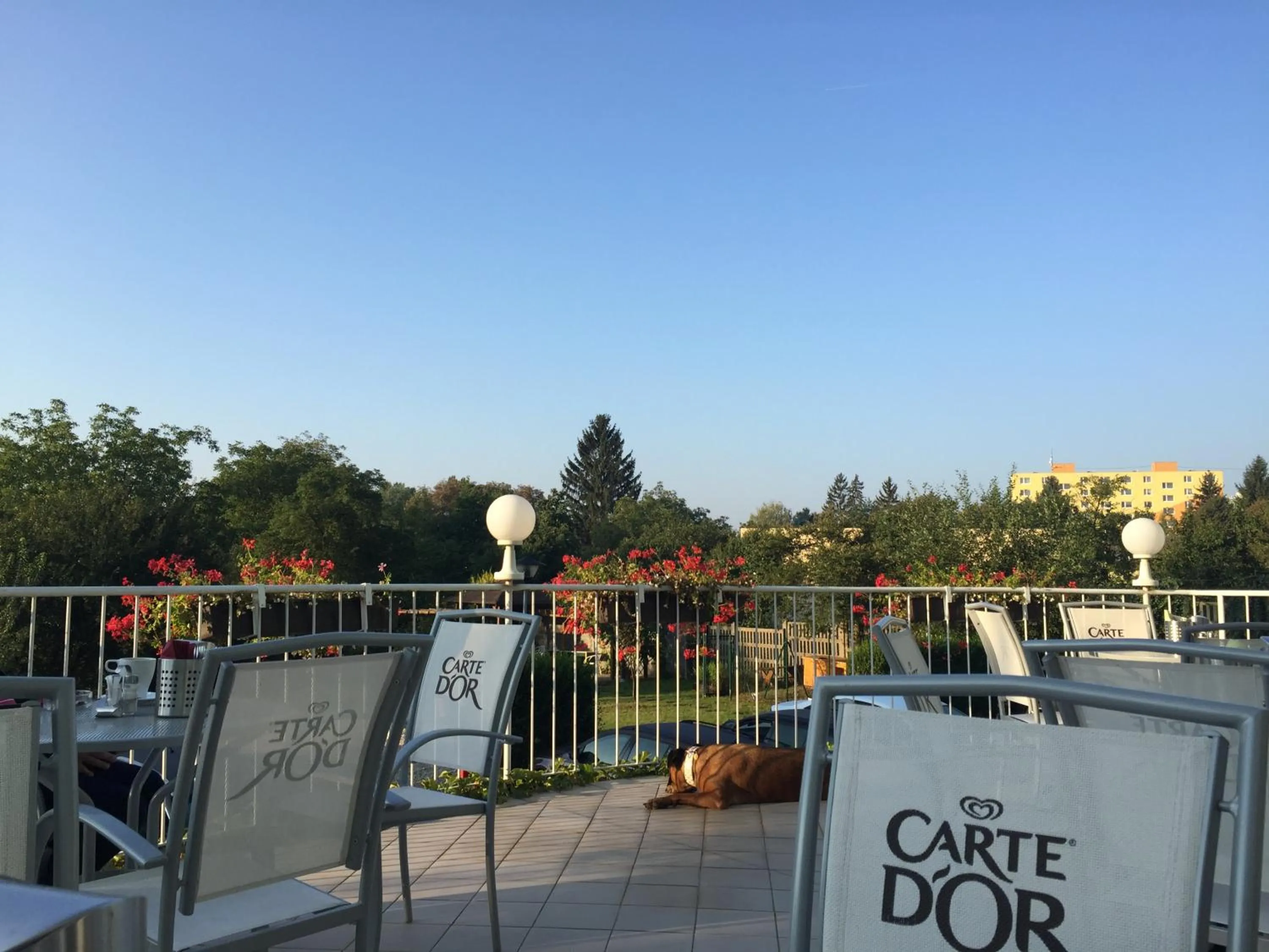 Garden in Hotel Atrium