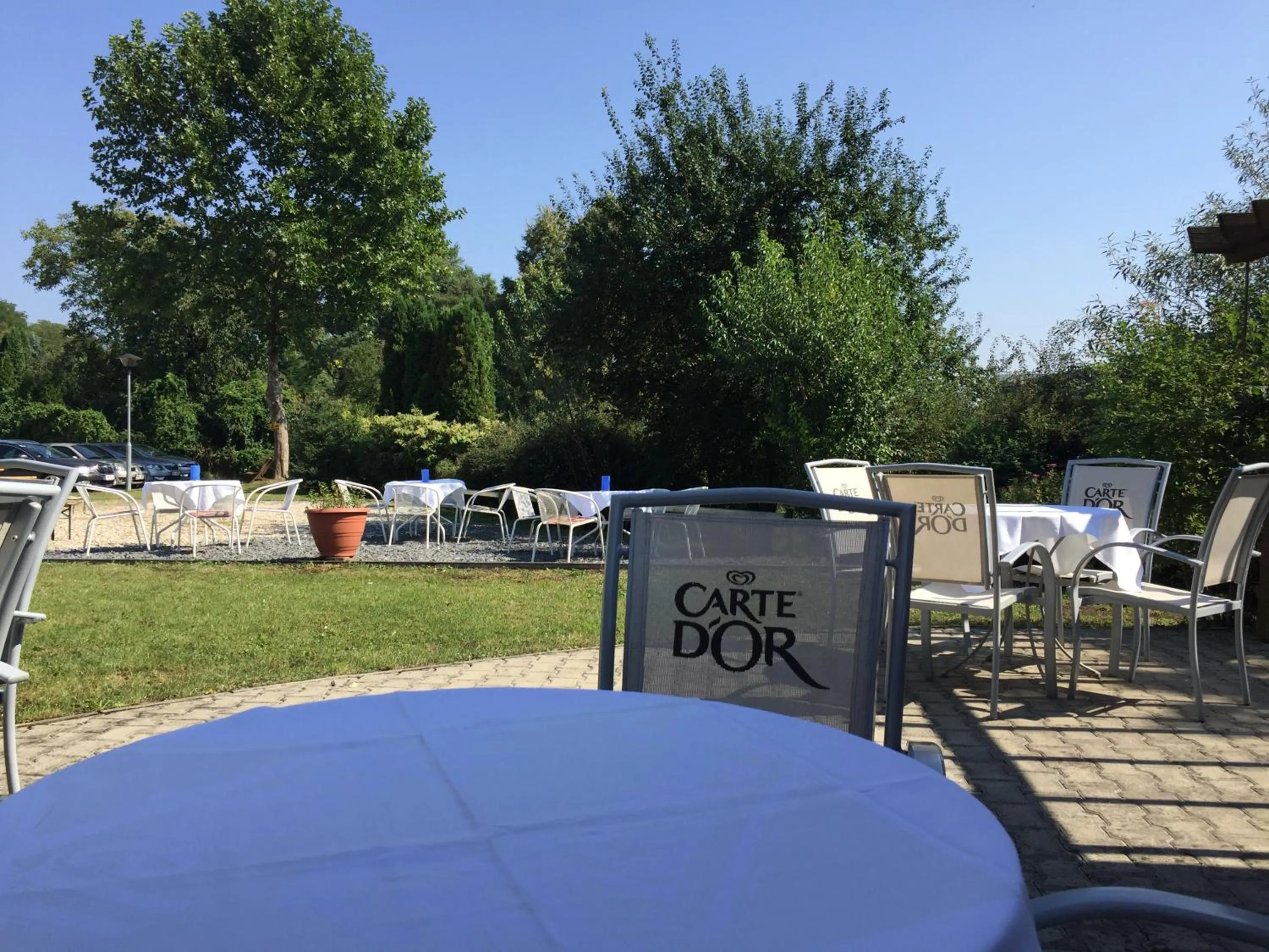 Garden in Hotel Atrium