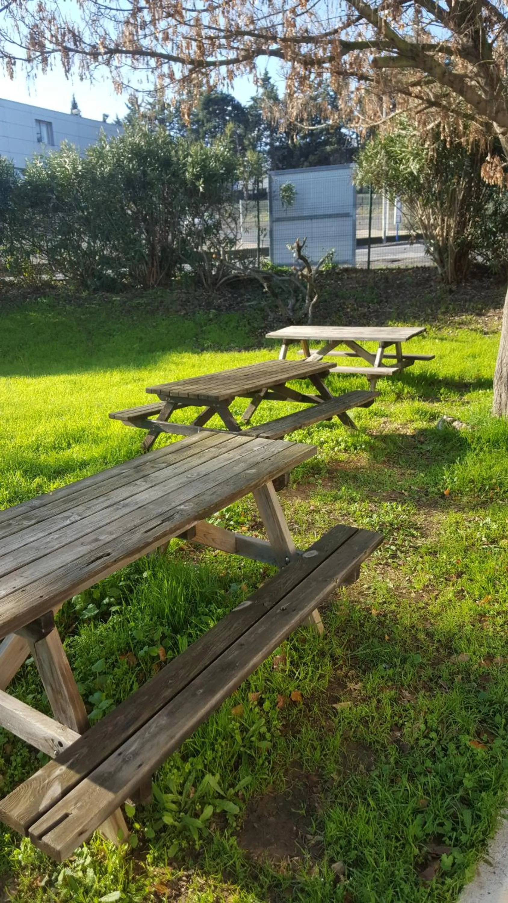 Garden in FastHotel Montpellier Ouest - Un Hôtel FH Classic