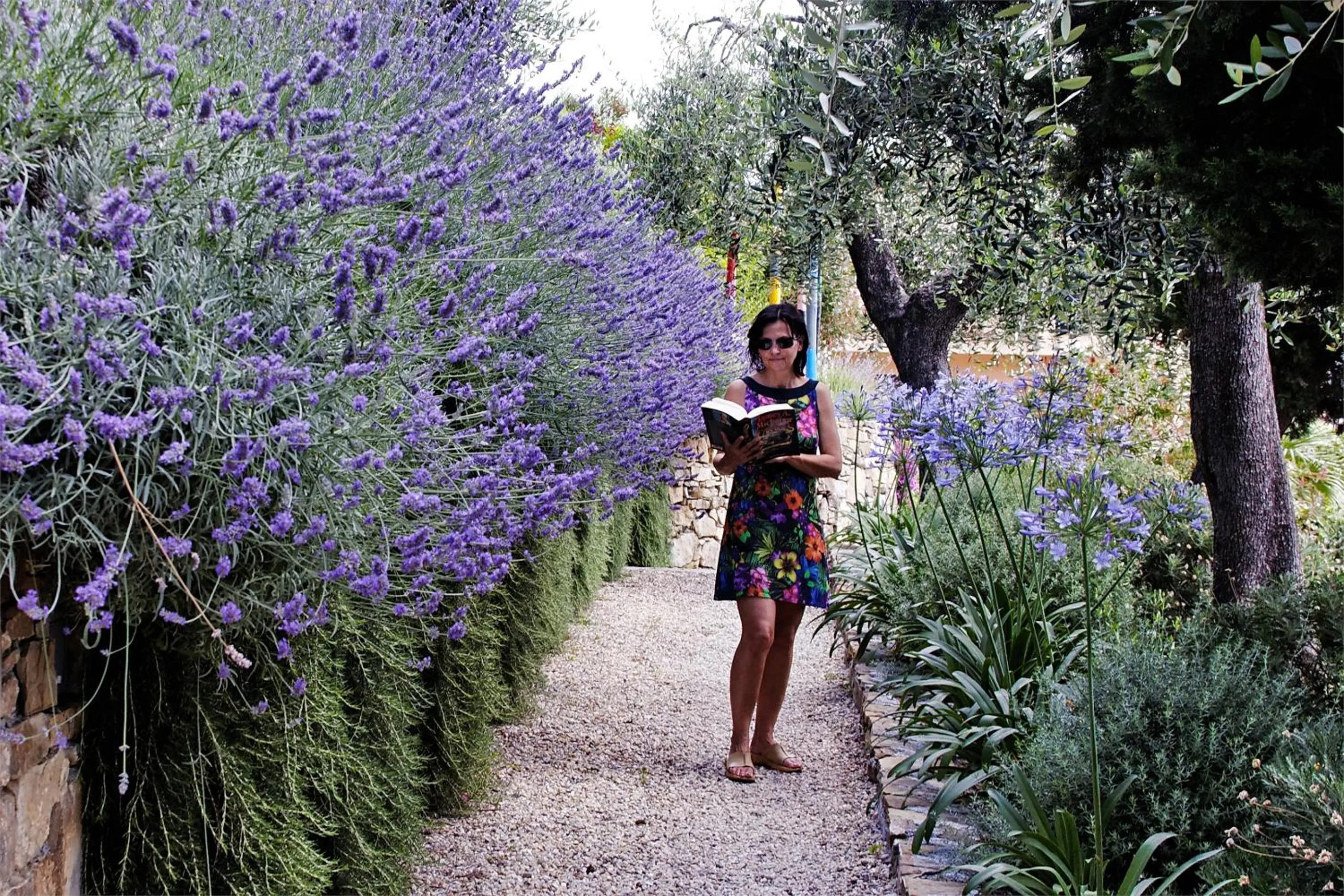 Garden in Hotel Metropol