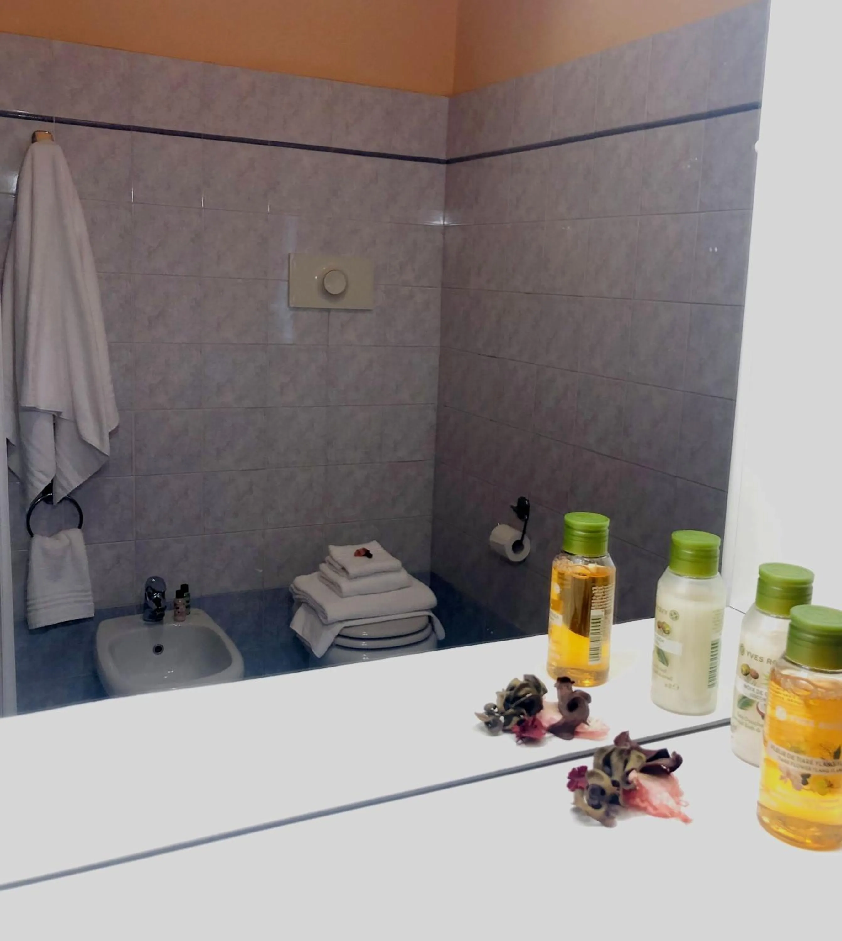 Bathroom in Residence Oasi Di Monza