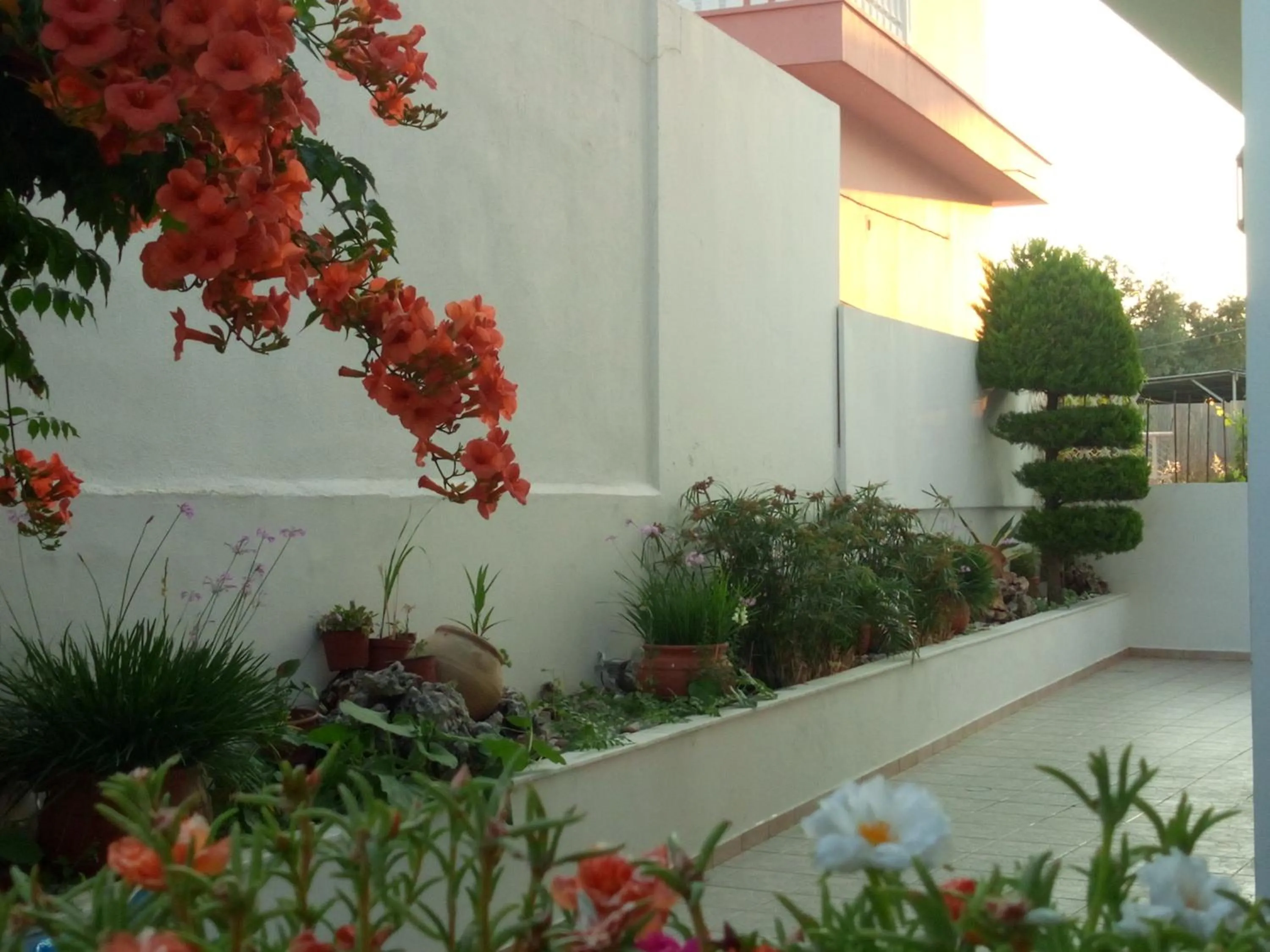 Garden in Pantheon Deluxe Apartments