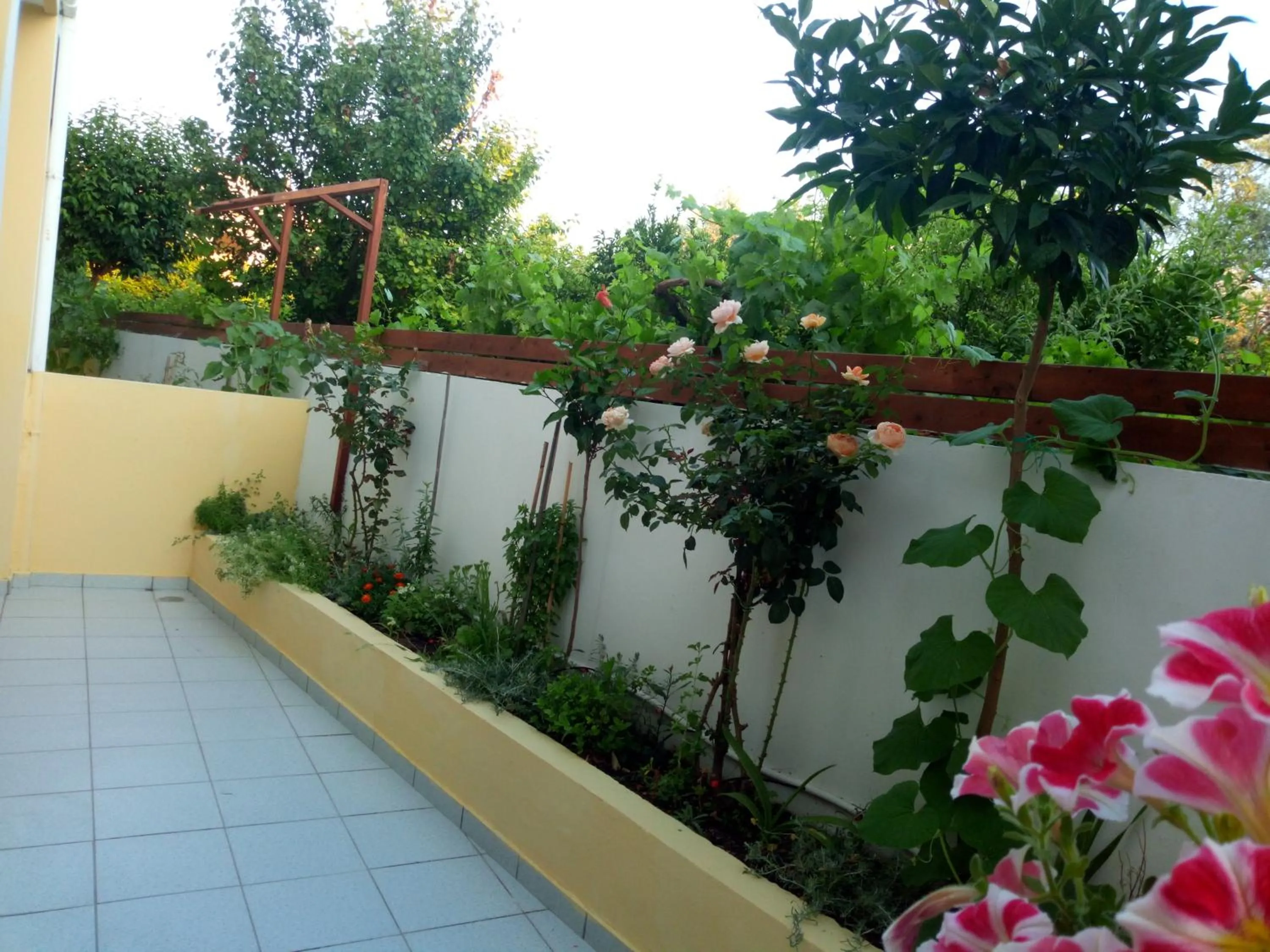 Garden in Pantheon Deluxe Apartments