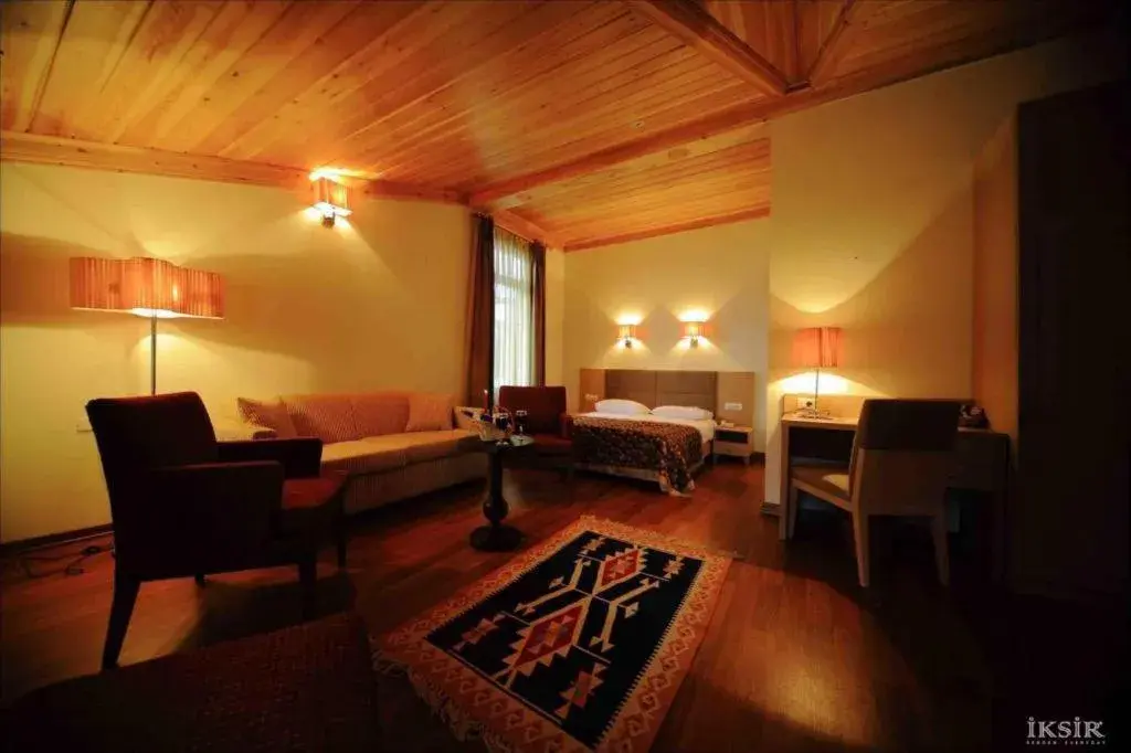 Junior Suite in Iksir Resort Town Junior Suite in Iksir Resort Town