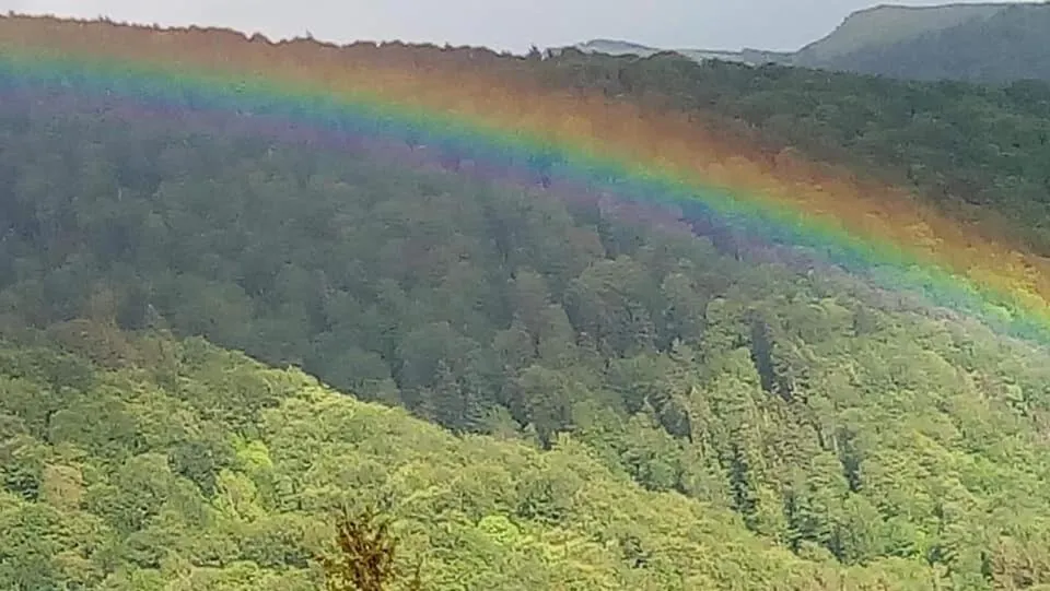 Spring in Vila Gabriel