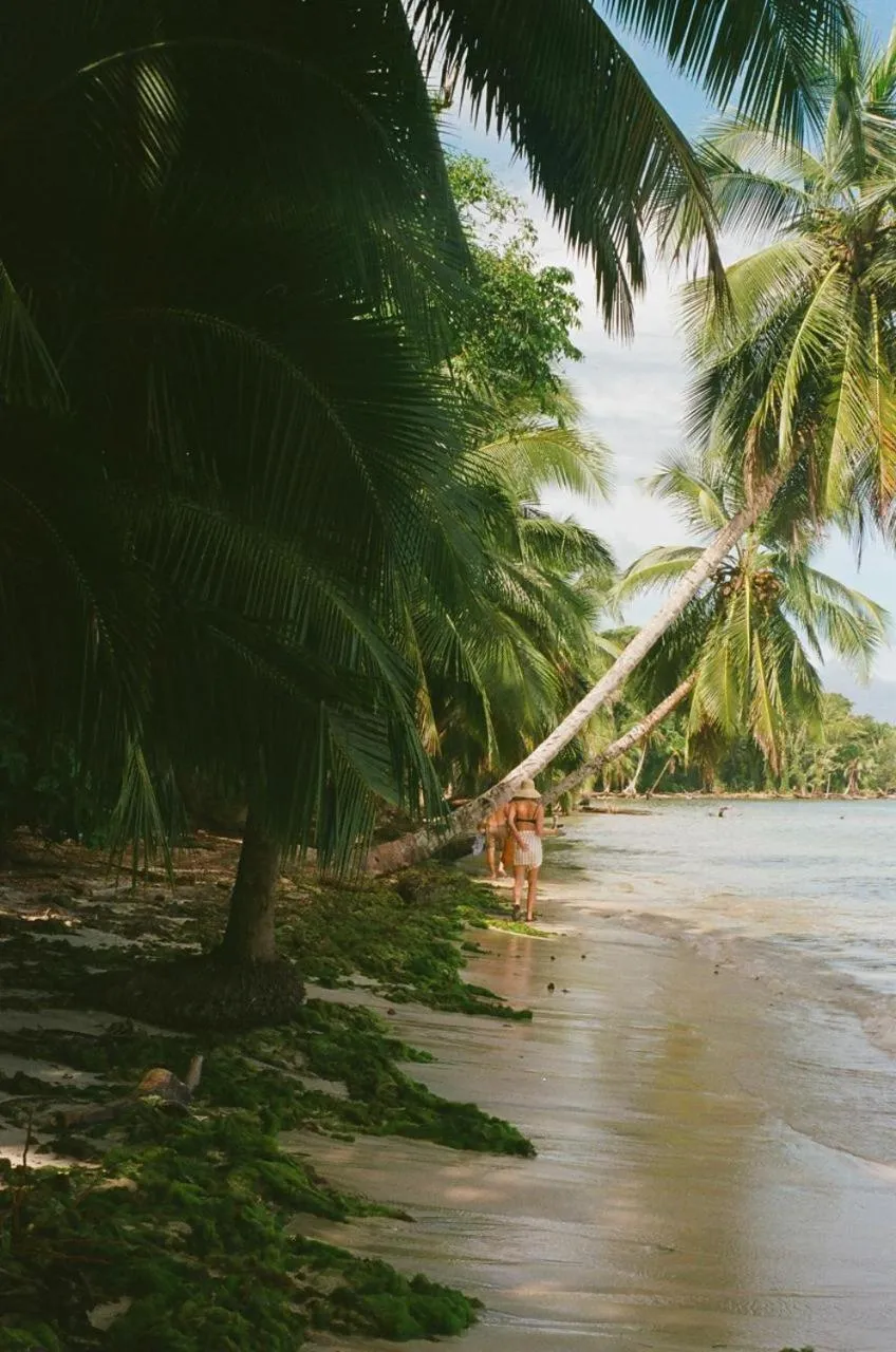 Beach in Casa Acuario Boutique Hotel