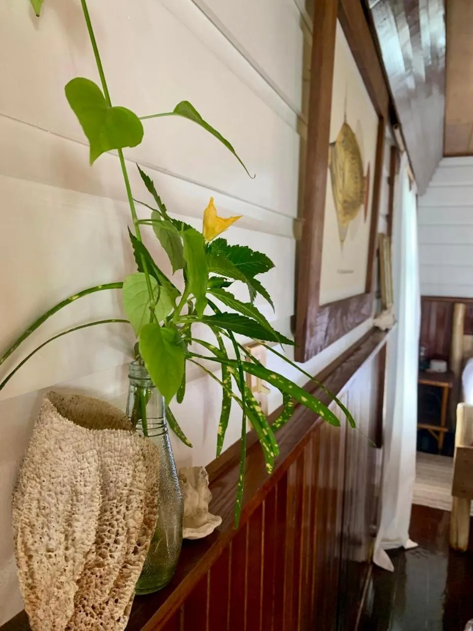 Casa Acuario Boutique Hotel