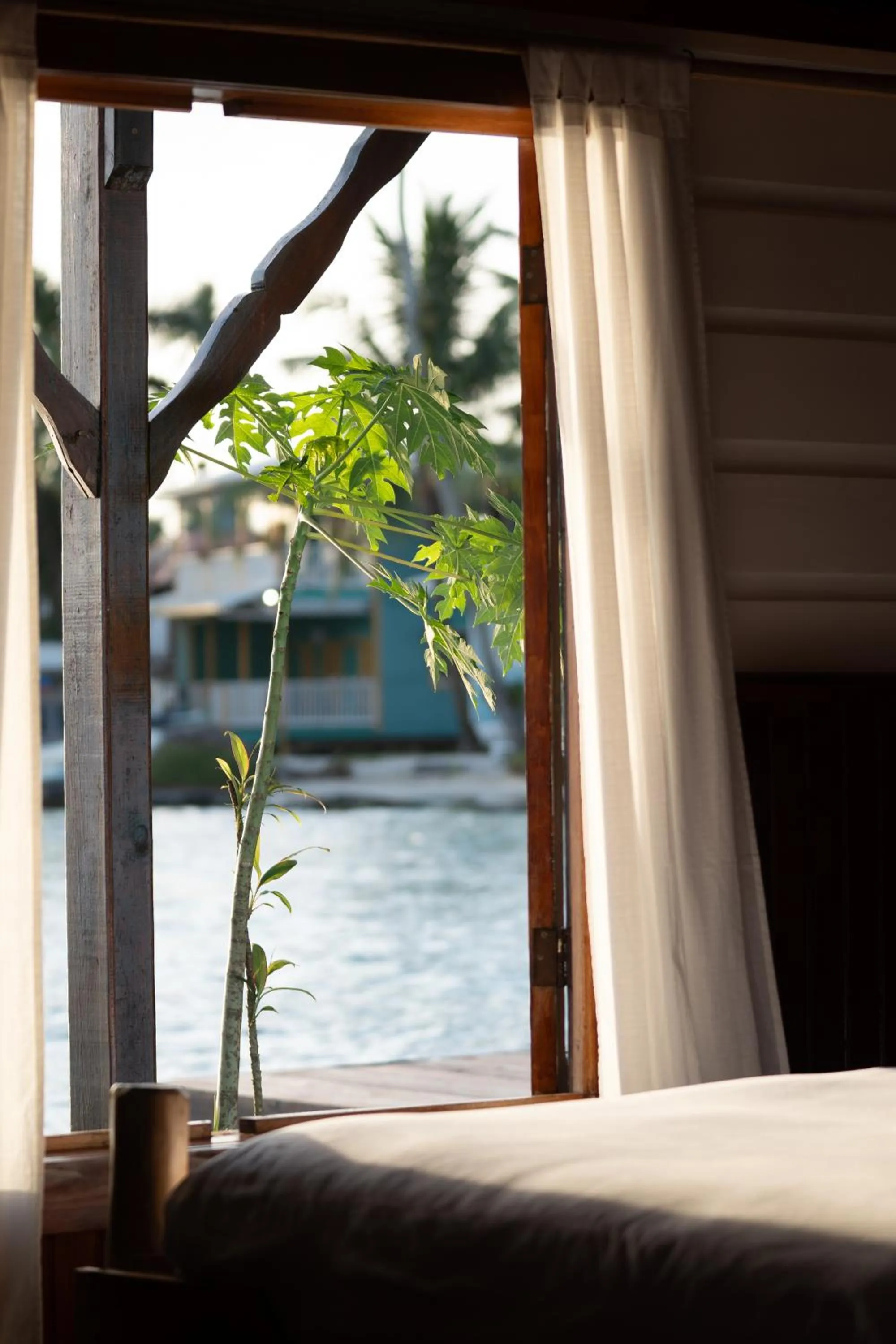 Bed in Casa Acuario Boutique Hotel