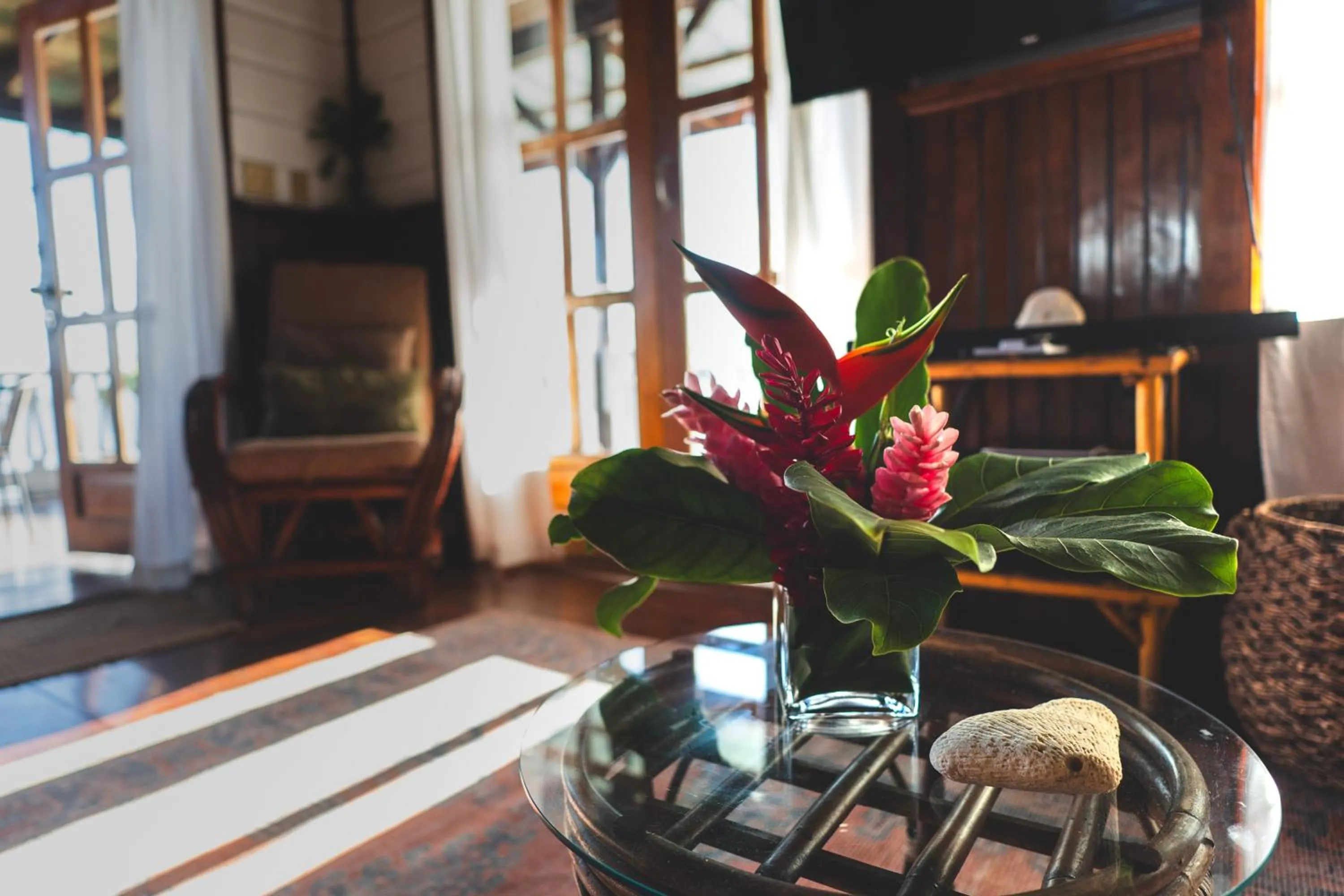 TV and multimedia in Casa Acuario Boutique Hotel