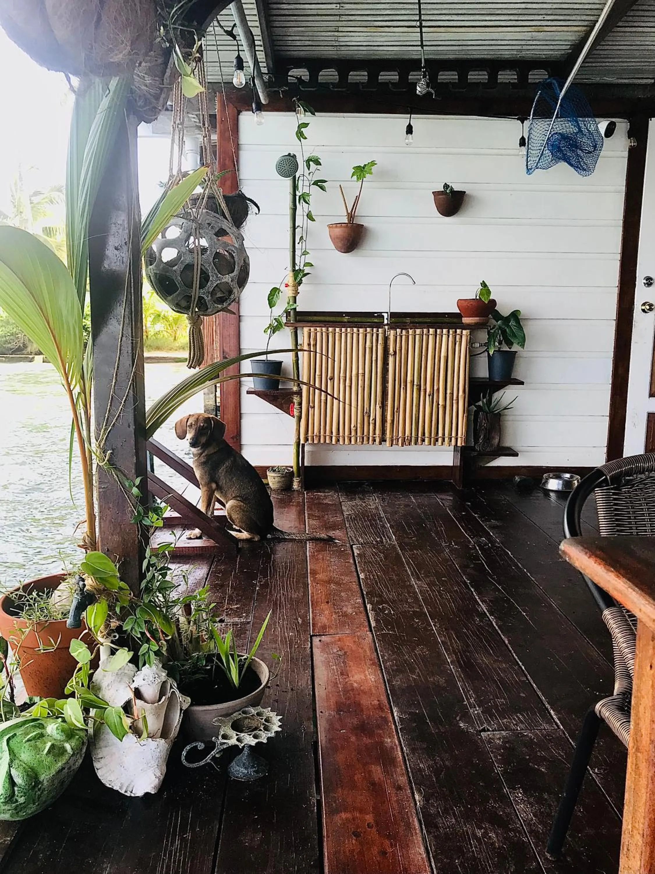 Casa Acuario Boutique Hotel