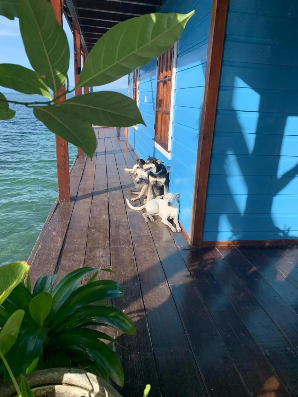 Property building in Casa Acuario Boutique Hotel