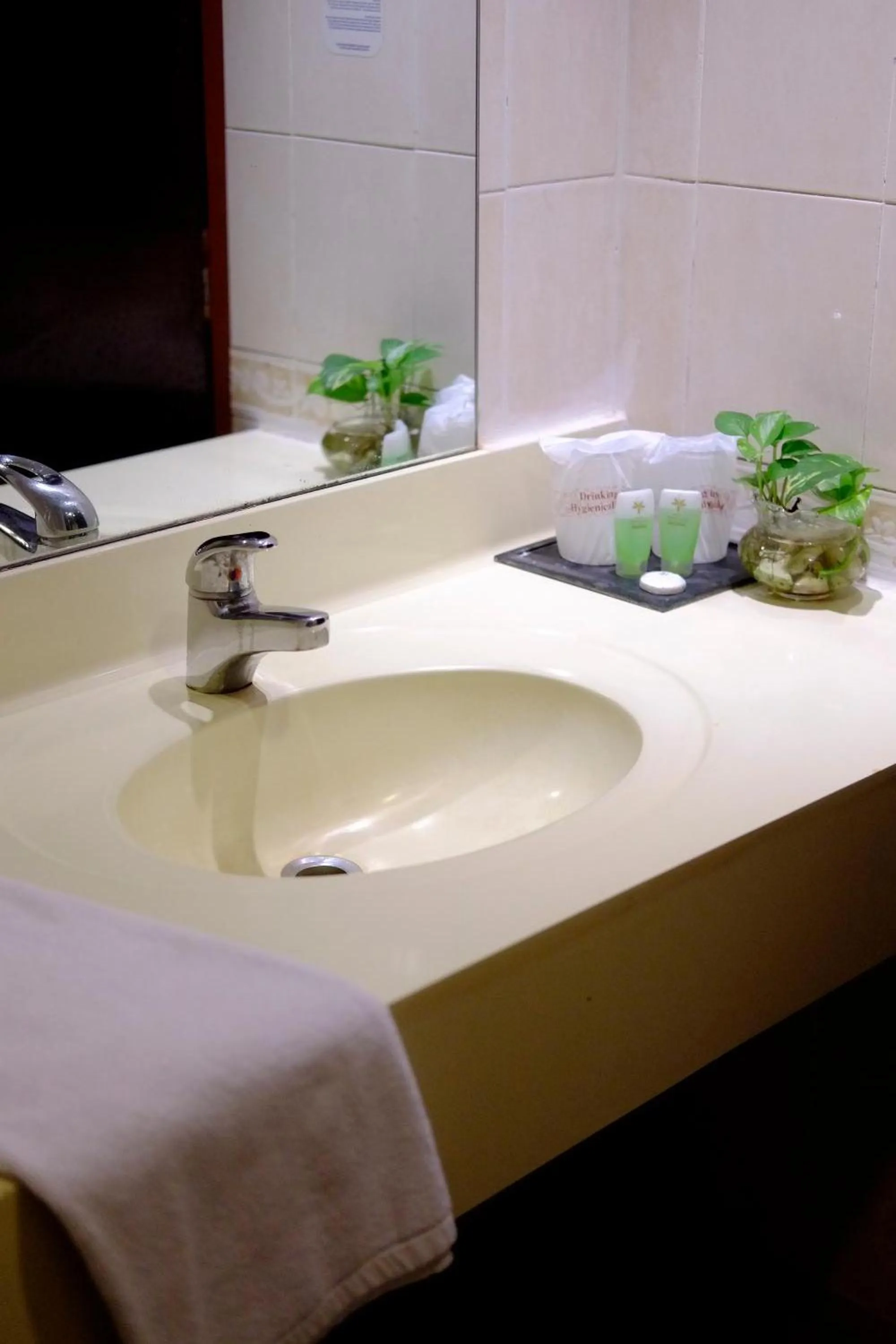 Bathroom in Hotel Seri Malaysia Melaka