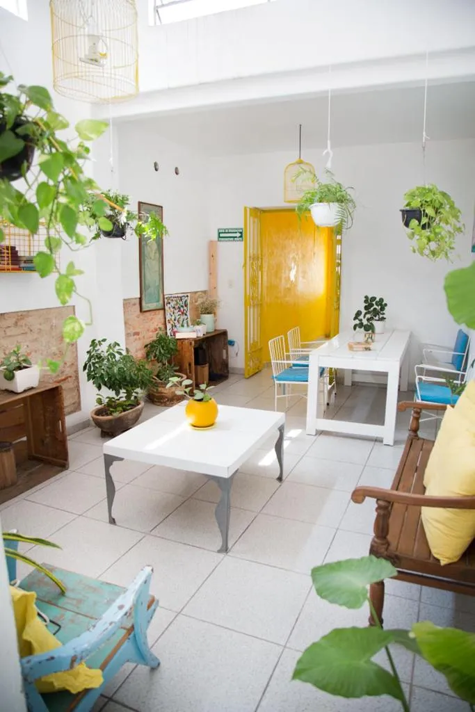 Seating area in Casa Canario Hostel